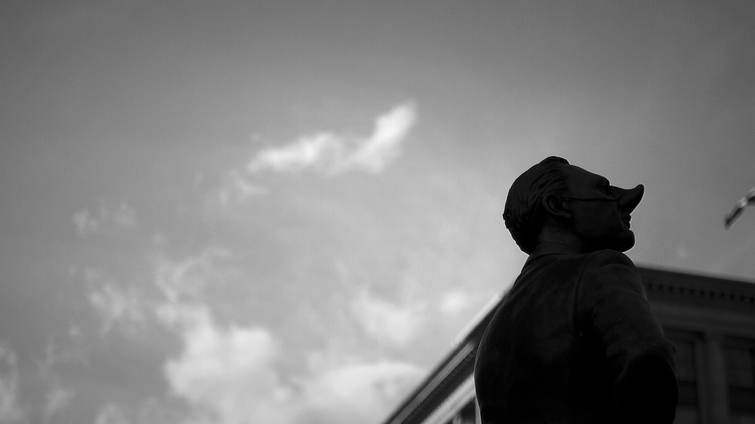 The Nose of Montreal