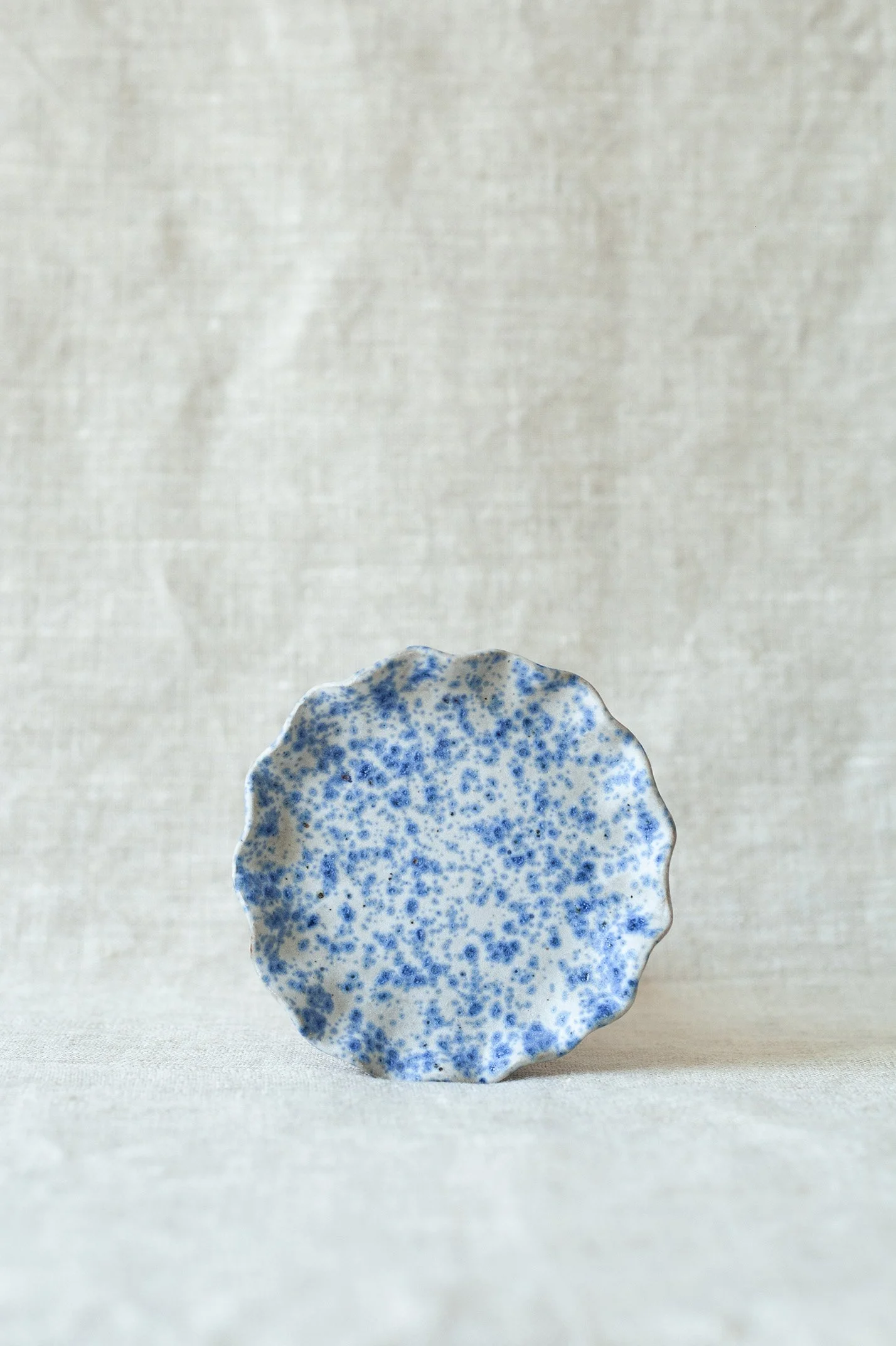 dish_5.jpg