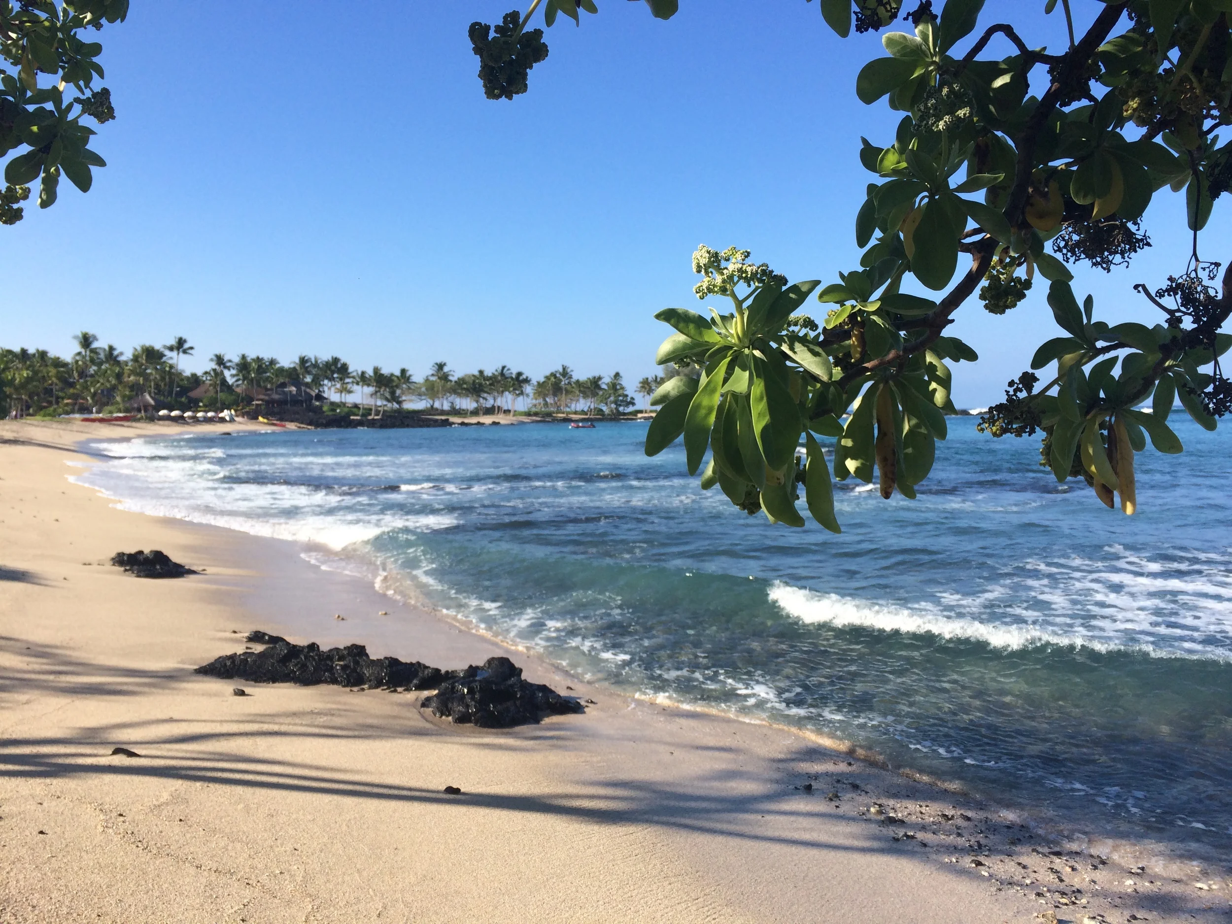 BUCKET LIST DESTINATIONS: KONA, HAWAII