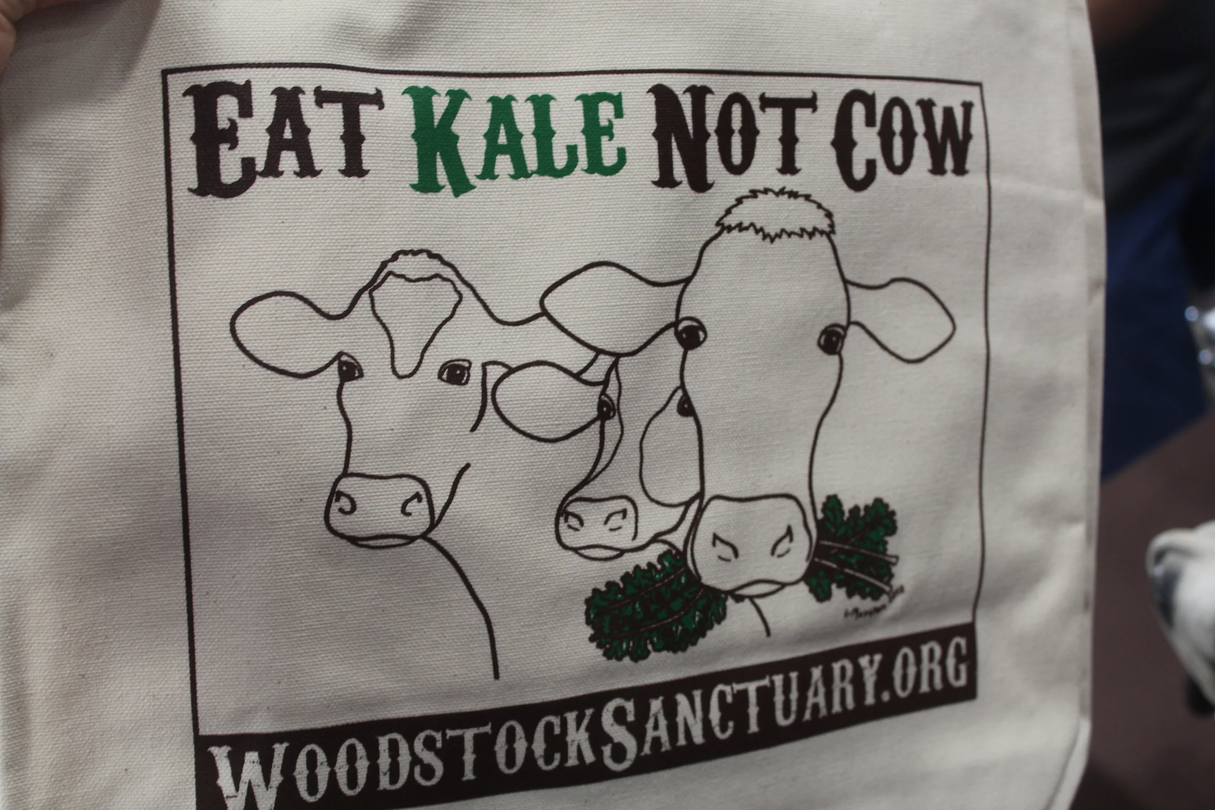 Woodstock Farm Animal Sanctuary @WoodstockFarm tells us about a recent chicken rescue and we buy their adorable merchandise!