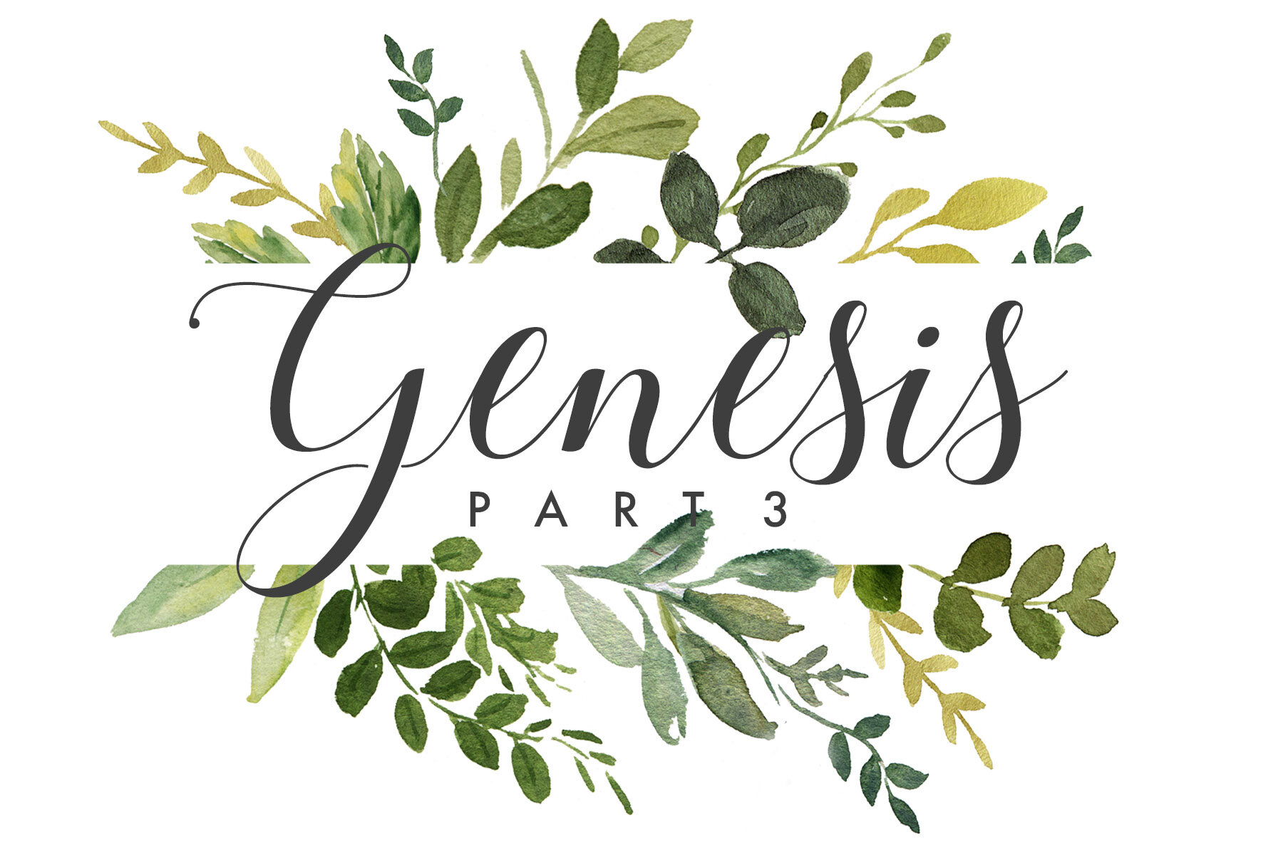 Genesis Part III Genesis 26-50 | Spring 2018