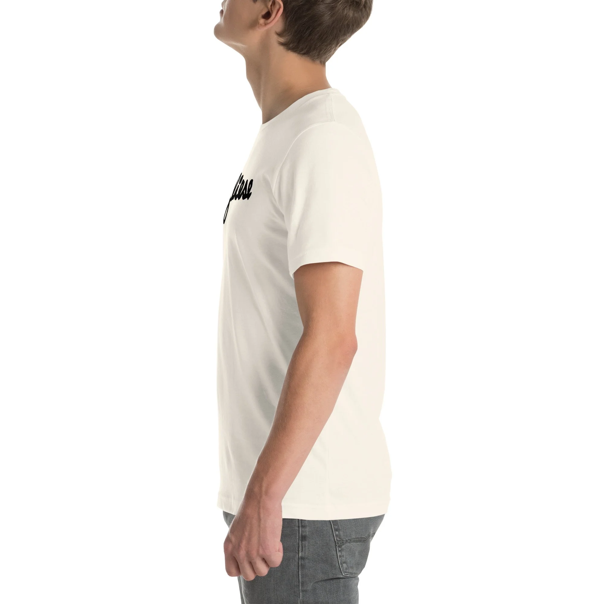 unisex-staple-t-shirt-vintage-white-left-6a7cd811093e6.jpg