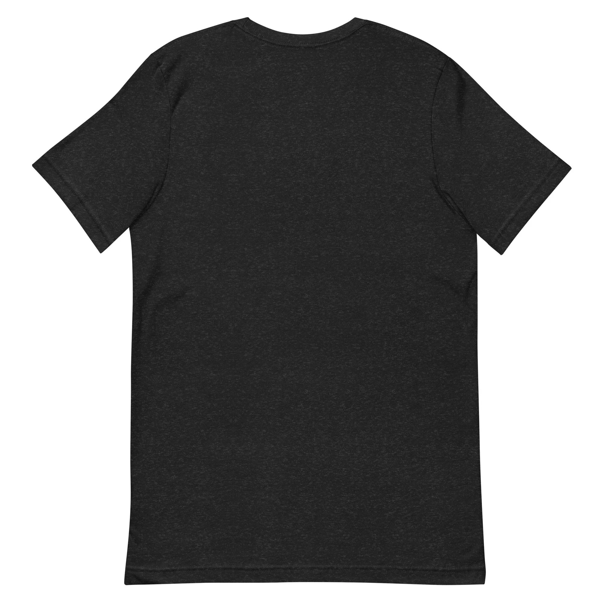 unisex-staple-t-shirt-black-heather-back-6a7cda6910535.jpg
