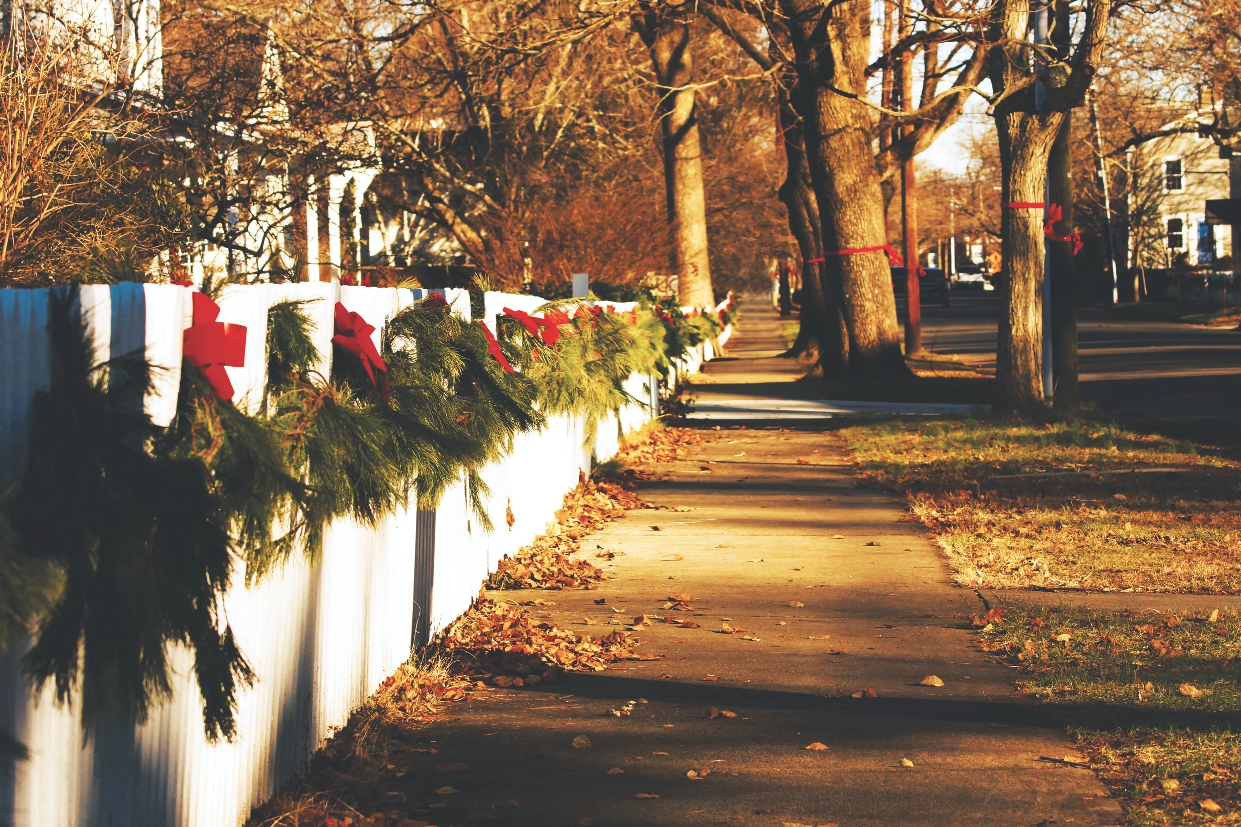The Christmas Cool Down: Staying Calm During the Holidays