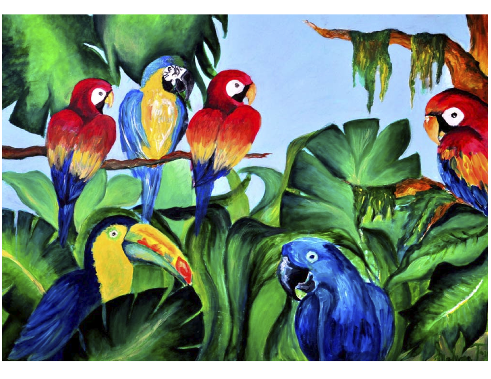 Birds size.png
