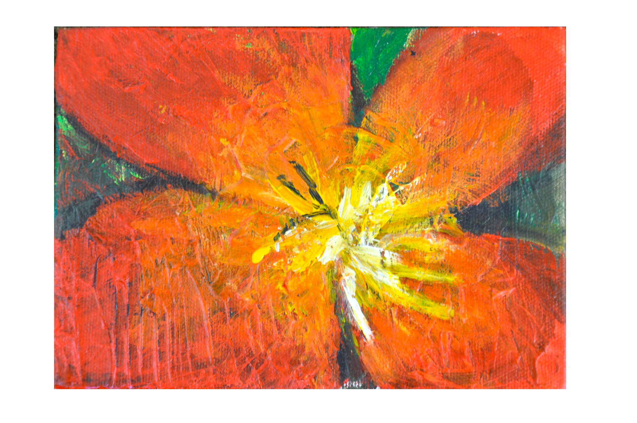 small red flower.png