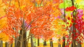 Autumn Trees 2020