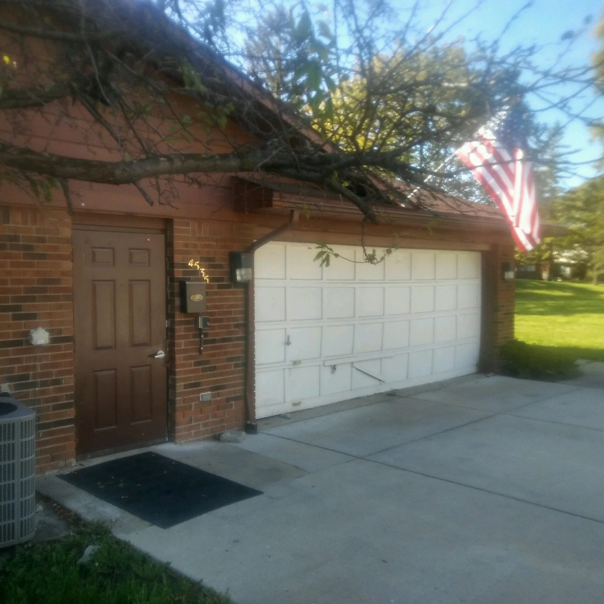 House1.jpg