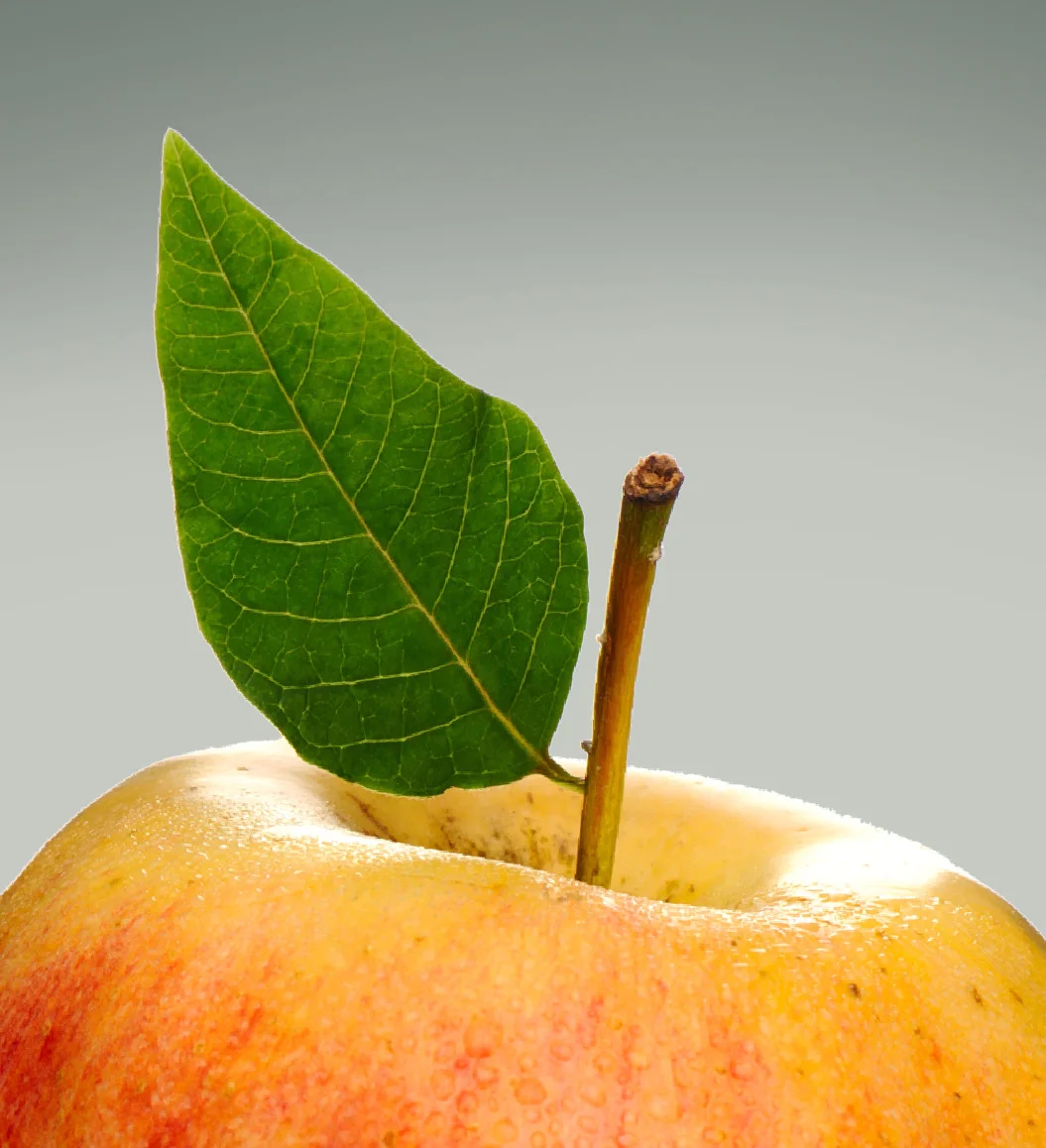 FOOD-thumbnail1.jpg
