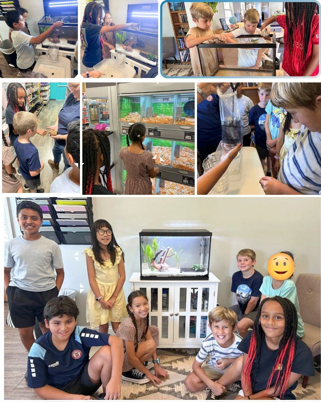From picking out supplies to prepping the tank and meeting some animals, our Upper Elementary students were hands-on every step of the way in choosing their new class fish! 🐠 Hands-on learning in action!