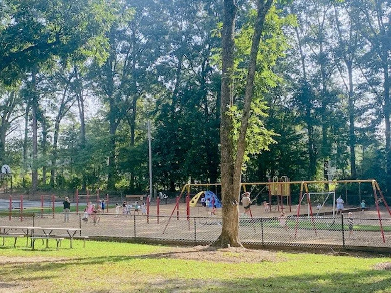 At The Carolyn Barron Montessori School, our beautiful campus isn't just a backdrop&mdash;it's an extension of our classrooms. From nature walks and garden discoveries to purposeful outdoor movement, our 5-acre grounds give students the freedom to ob