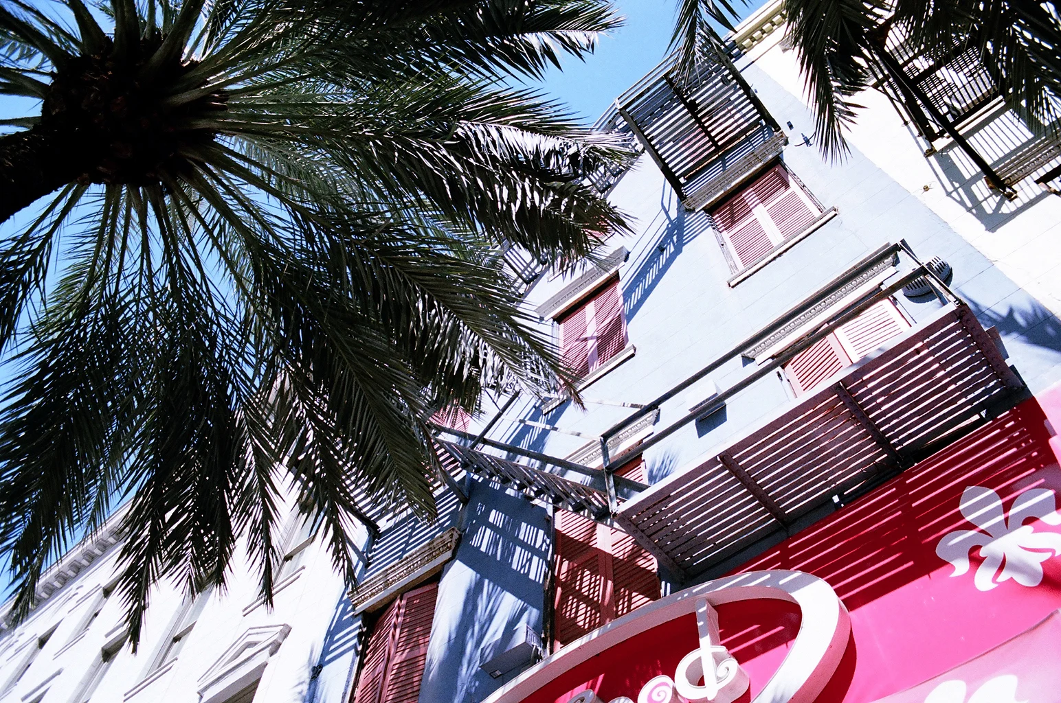 nola-6.jpg