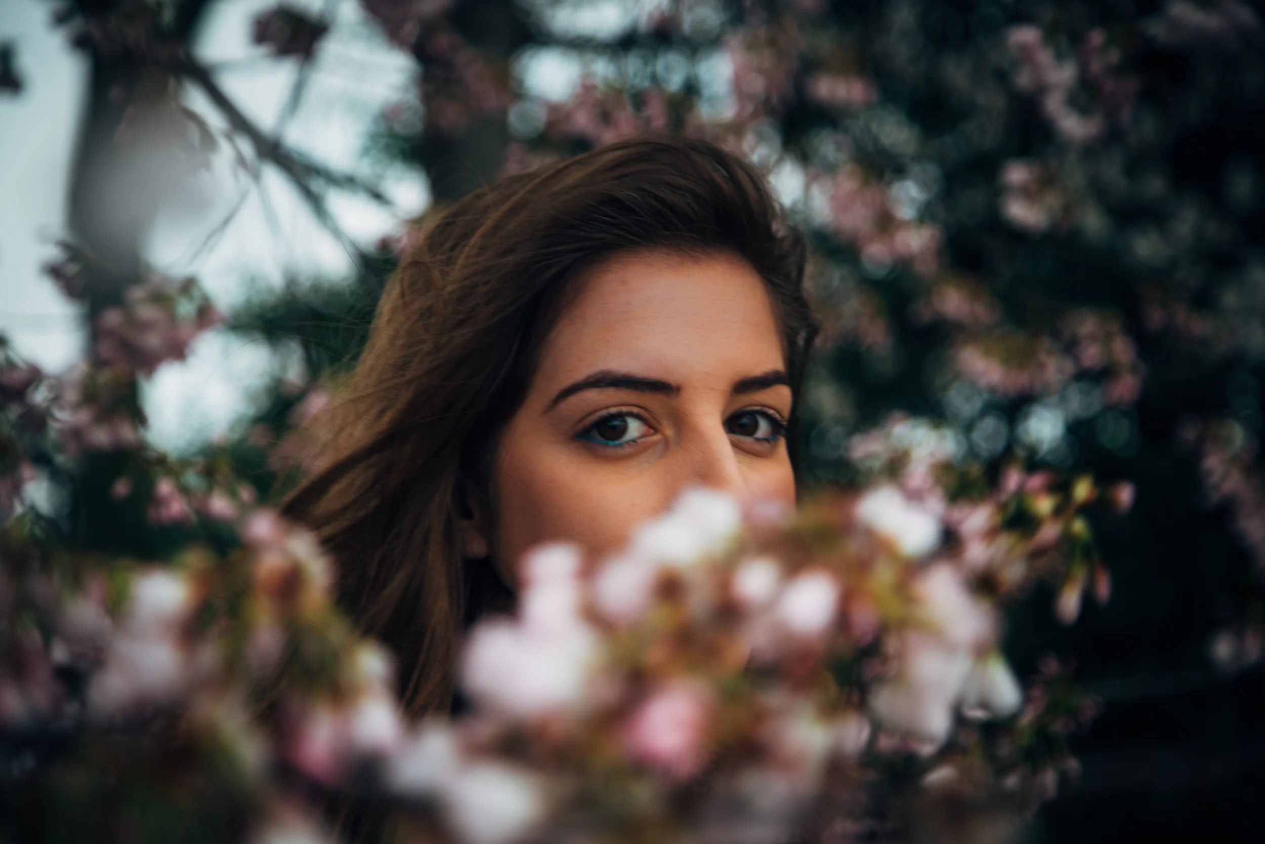 cherry blog-9.jpg