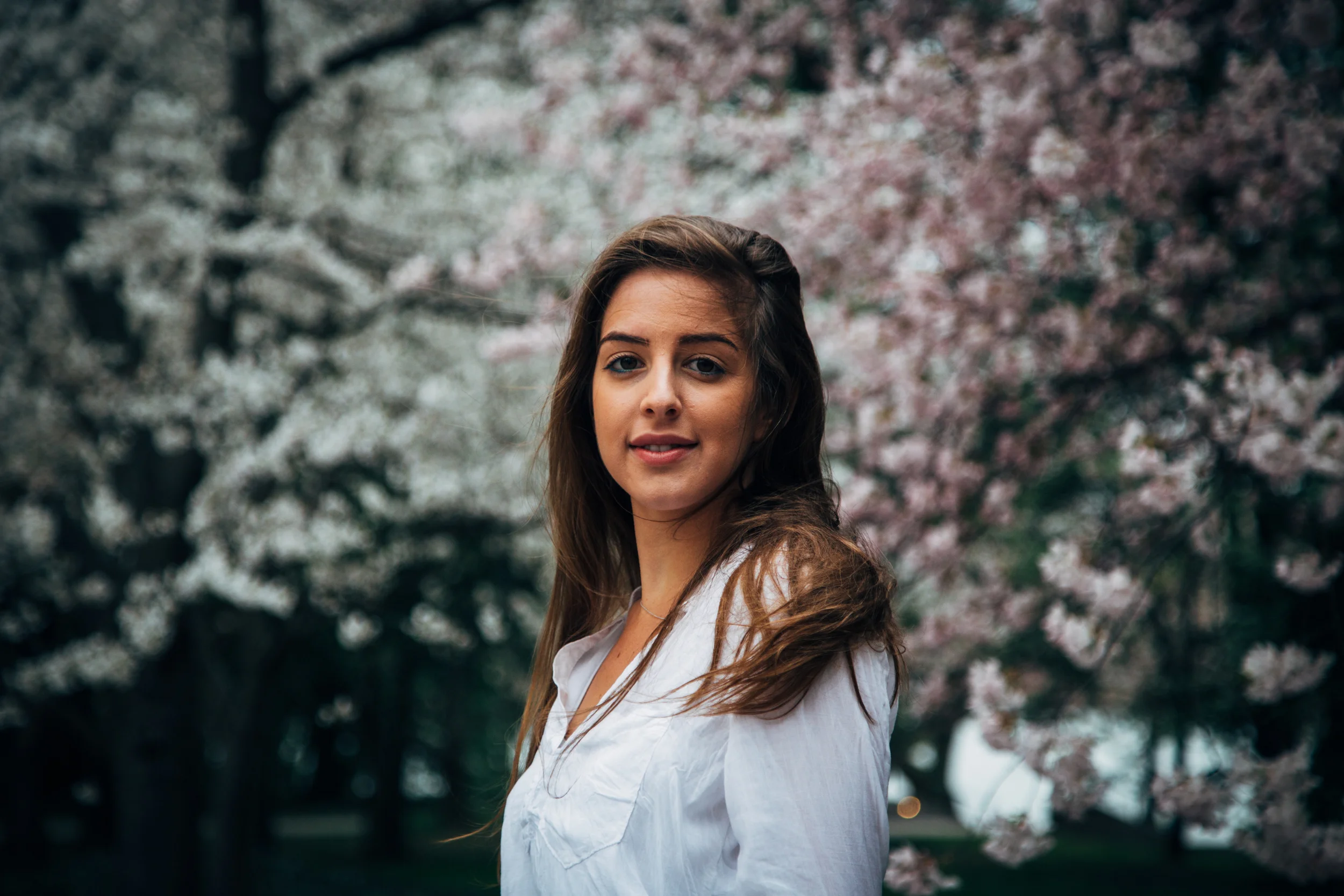 cherry blog-11.jpg