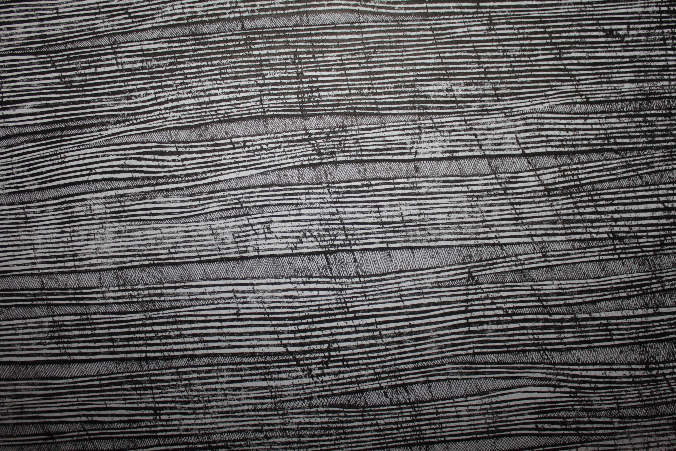   Locust 2 (detail).  2013. woodcut and concrete block relief with pen and ink on Japanese paper. 39 in x 26 in 
