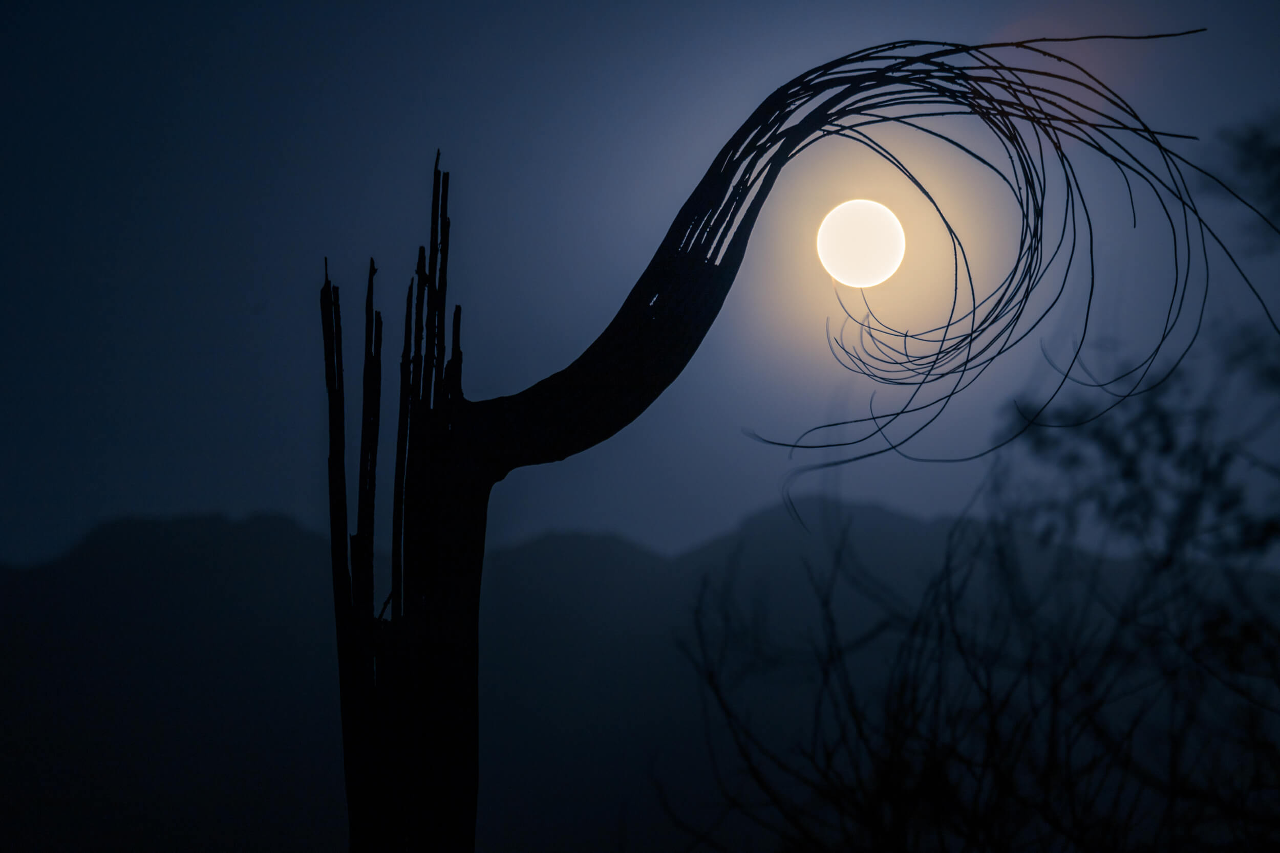 Moonrise-Saguaro-National-Park-Tucson-two-tone_MG_2708-5.jpg