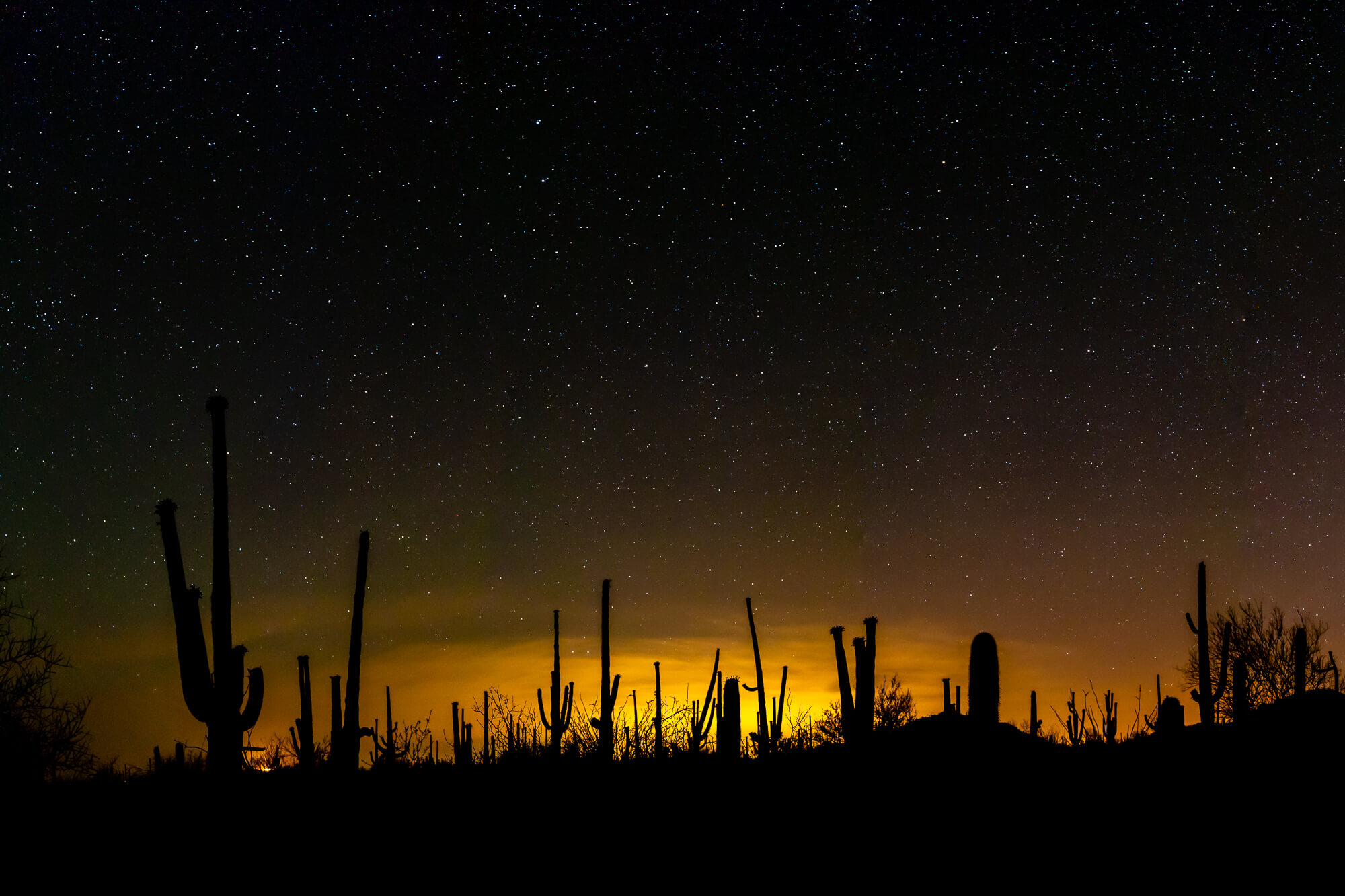 Saguaro-National-Park-night-sky-Tucson-Arizona_MG_3965.jpg
