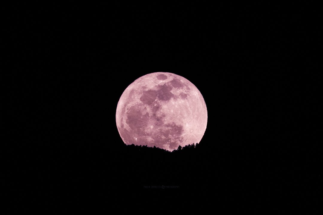 No it wasn't really pink but it's called the Pink Moon so why not?!
#fullmoon #pinkmoon