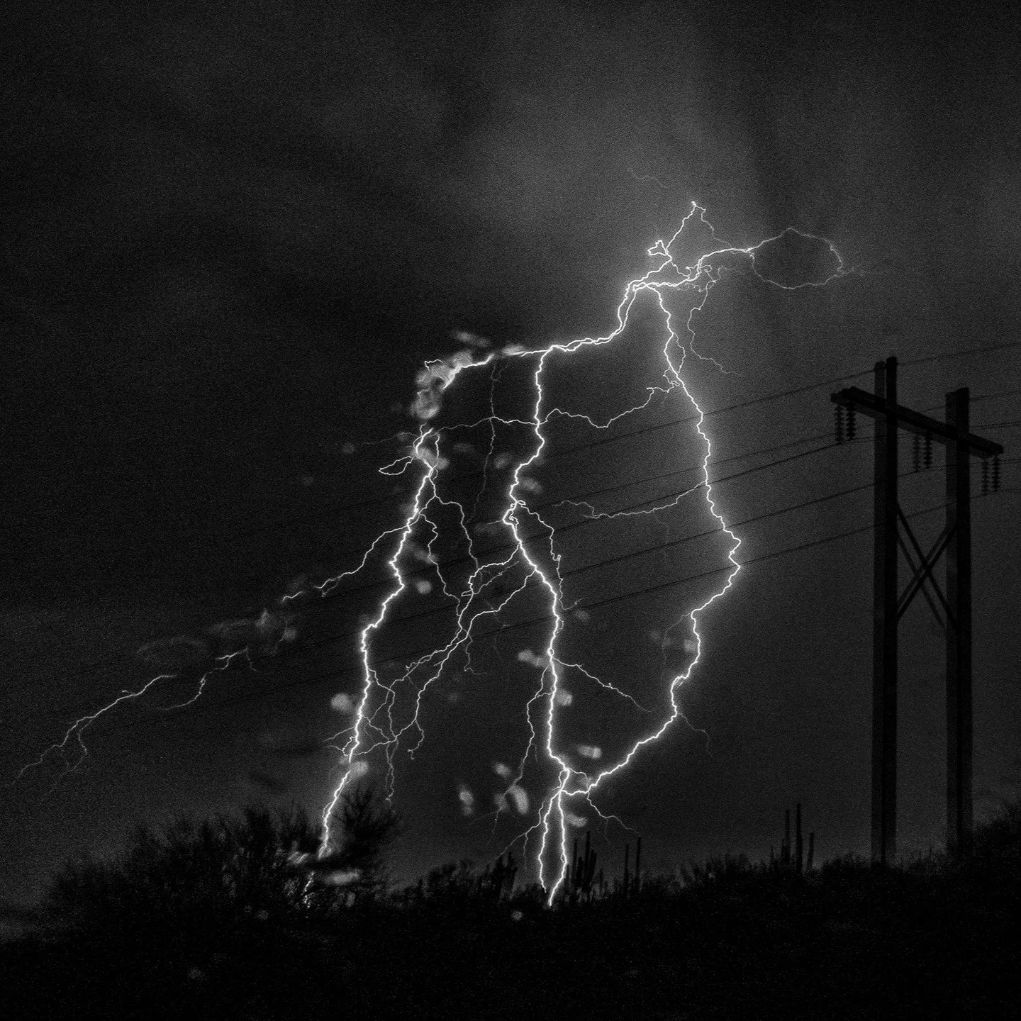 When bolts get too close! 

#azwx #monsoon #haboob #stormchasing #lightning @girlswhochase @girlswhobolt @canonusa