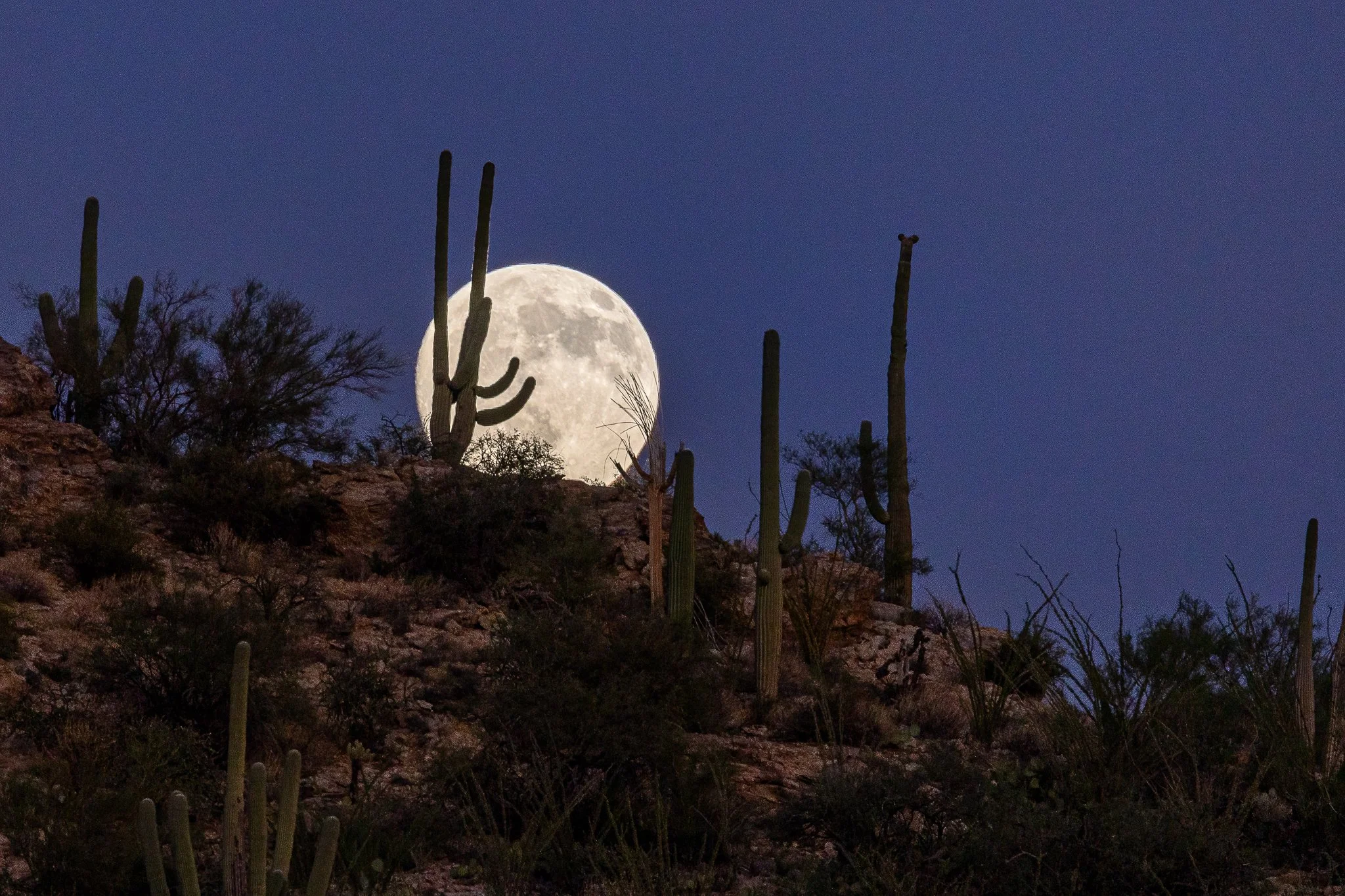 Hey Moon.
Not quite the #fullmoon