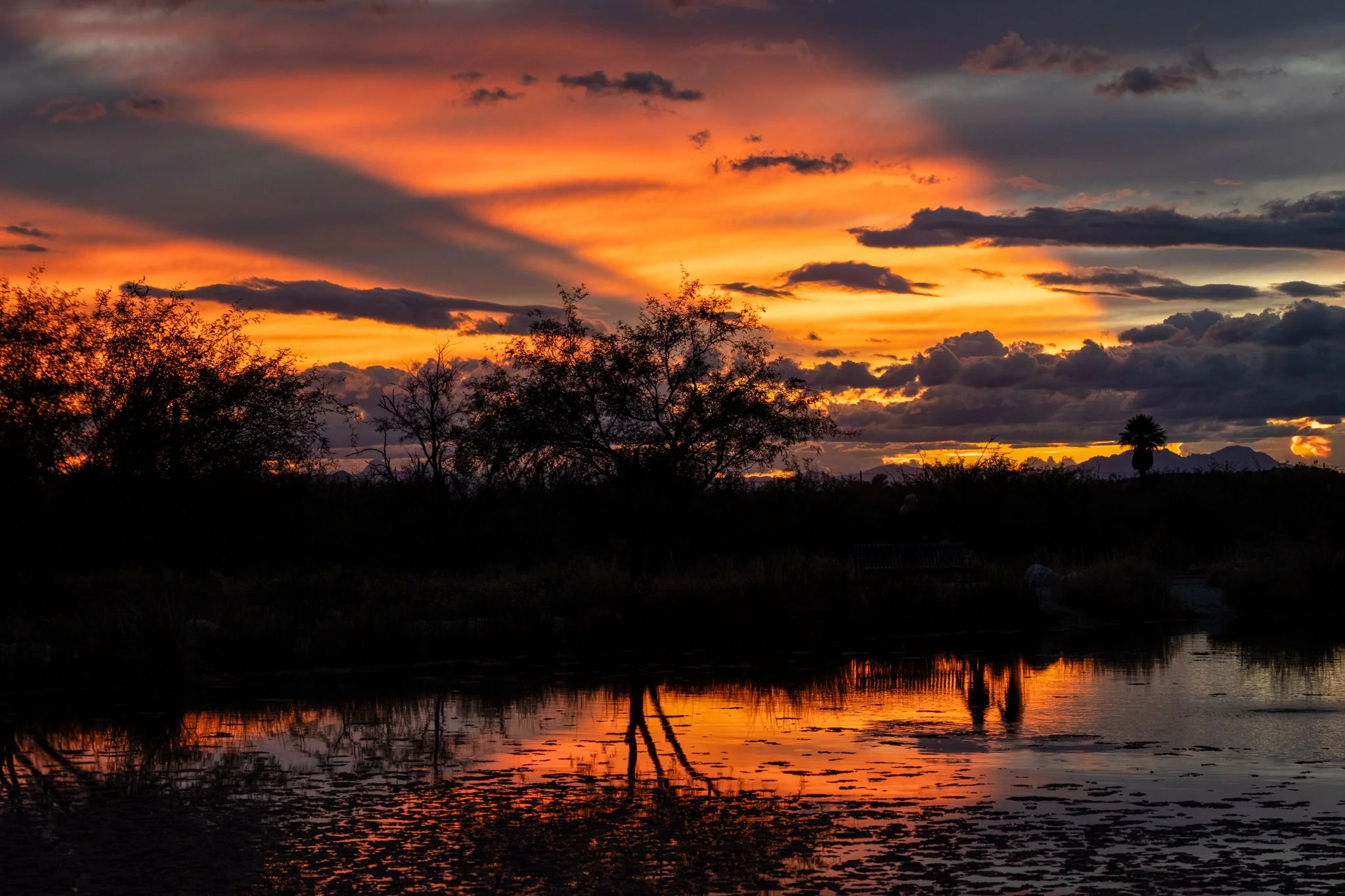 Love these Arizona skies. #arizonasunsets