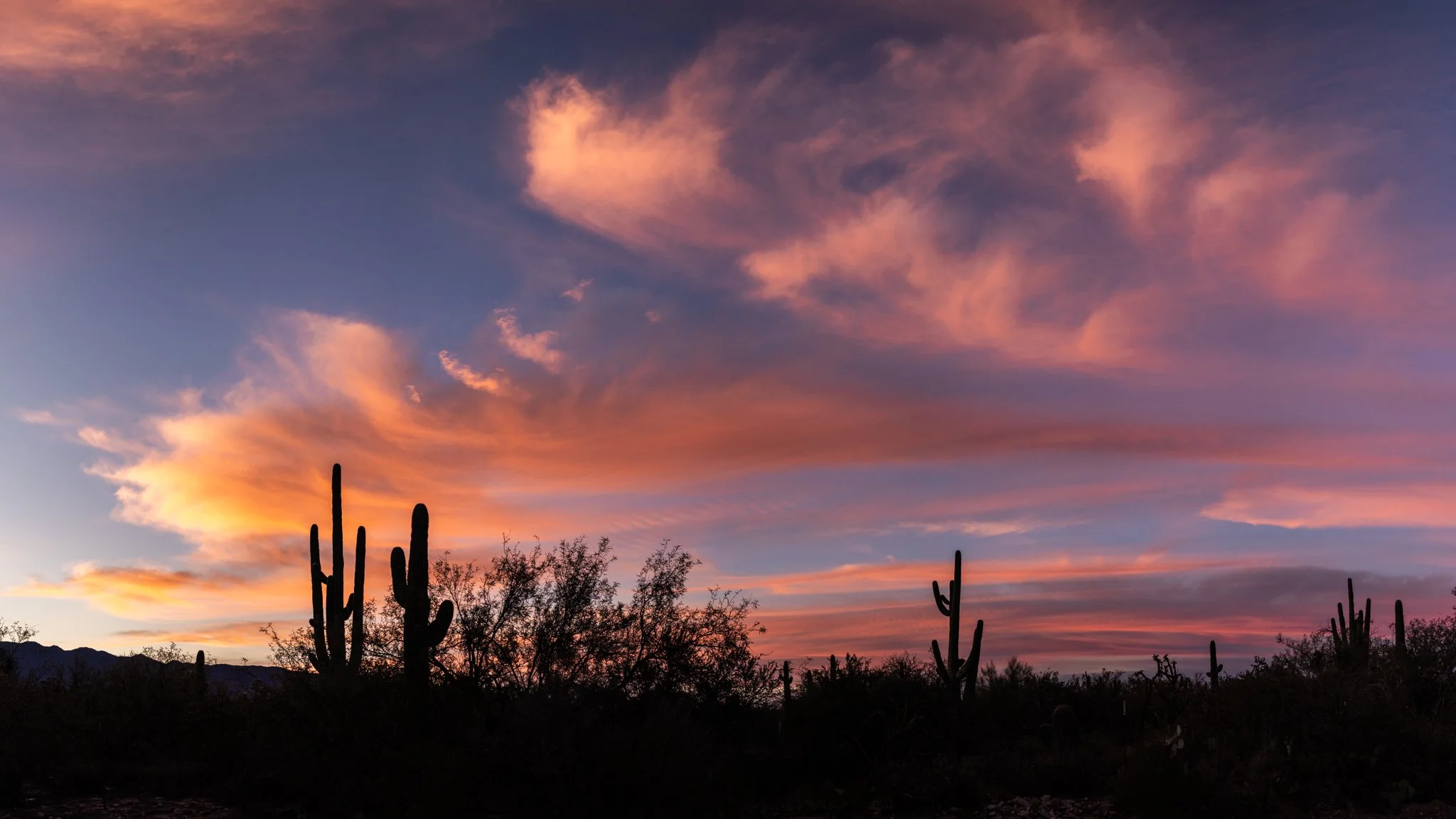 Wishing all a Happy Thanksgiving.