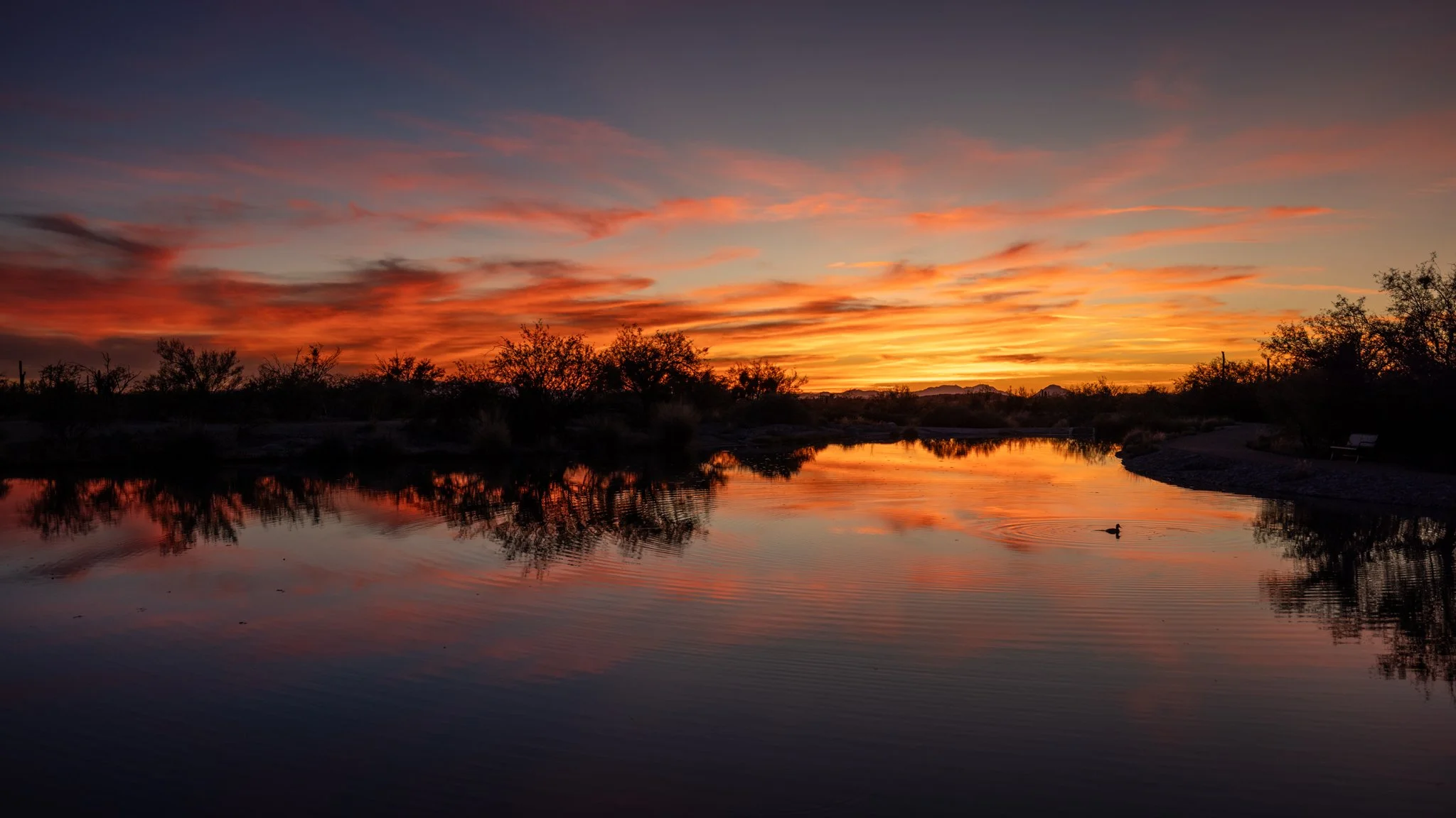 Cool nights, warm days, winter skies. #arizonasunset