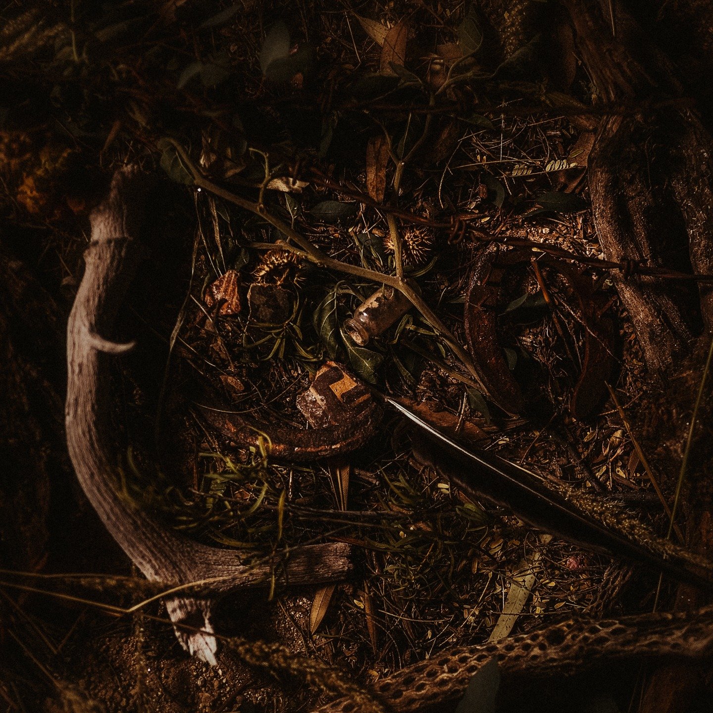 In memory of those who once called this desert home. The Hohokam people, the soldiers and ranchers, the plants and wildlife.
#stilllifephotography