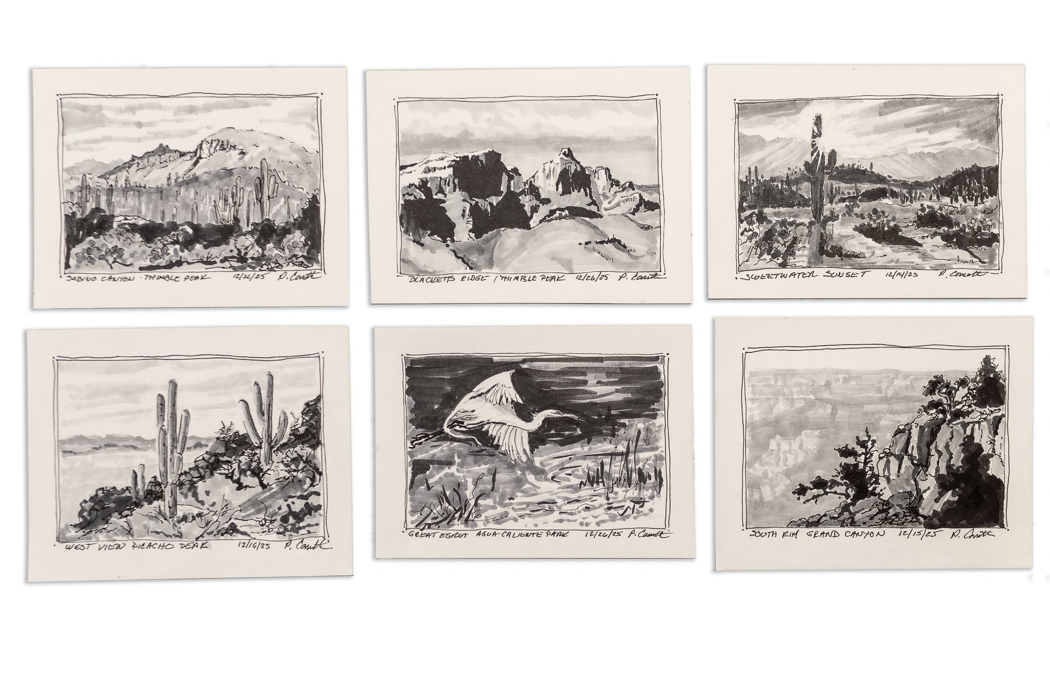 A group of smaller quick sketches inspired by @lindaglovergooch. I've just completed her online Sketch Extravaganza Course and really loved doing it.

These are all 4.5" x 3". The first one is from Linda's photo at the Grand Canyon and the 