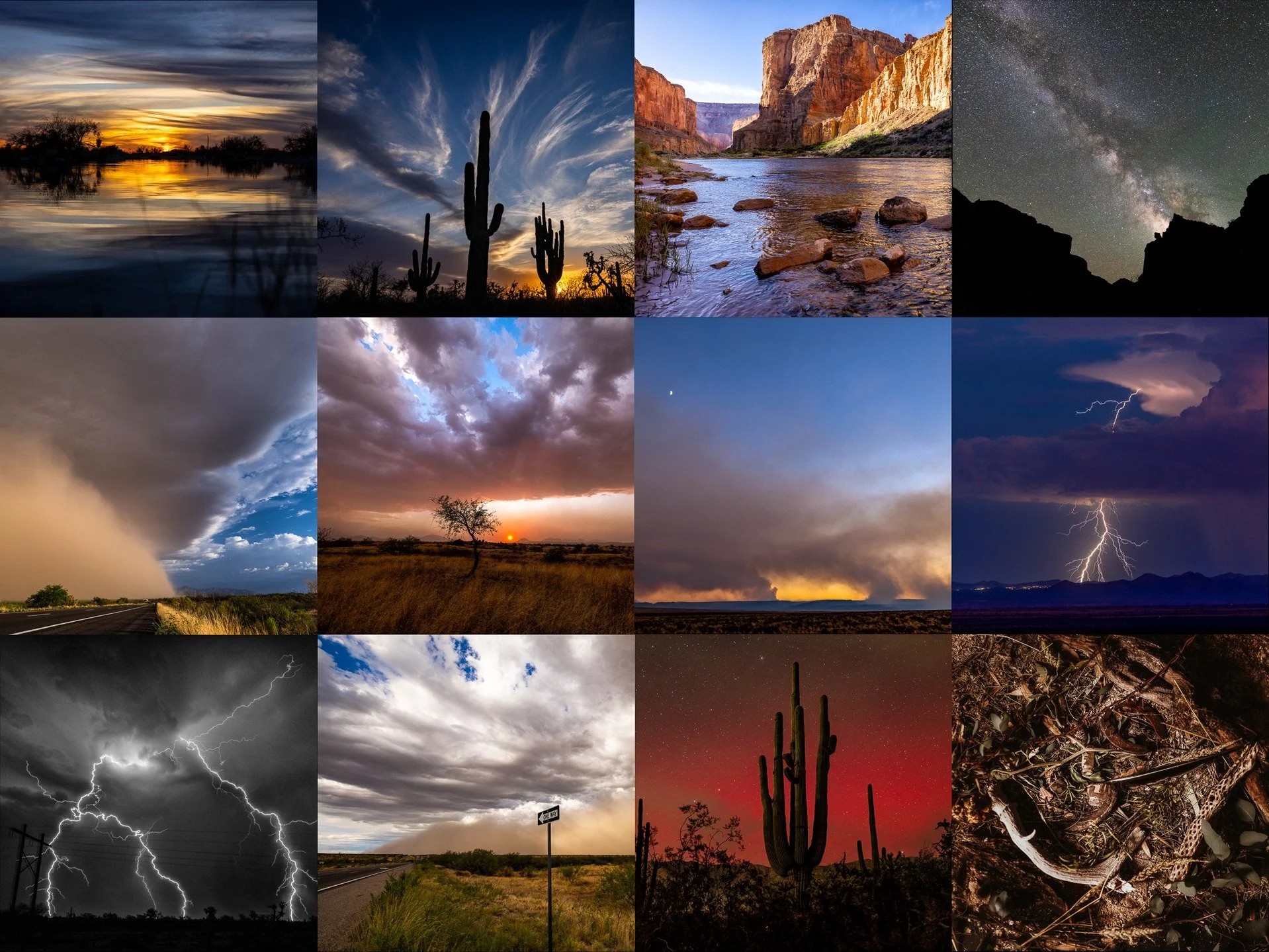 2025 Top 12 Arizona Memories.

1. Agua Caliente Park, Tucson
2. Agua Caliente Park, Tucson
3. Colorado River, Grand Canyon National Park
4. Milky Way, Grand Canyon National Park
5. Monsoon Haboob, Whetstone
6. Monsoon Sunset, Empire Ranch, Sonoita
7.