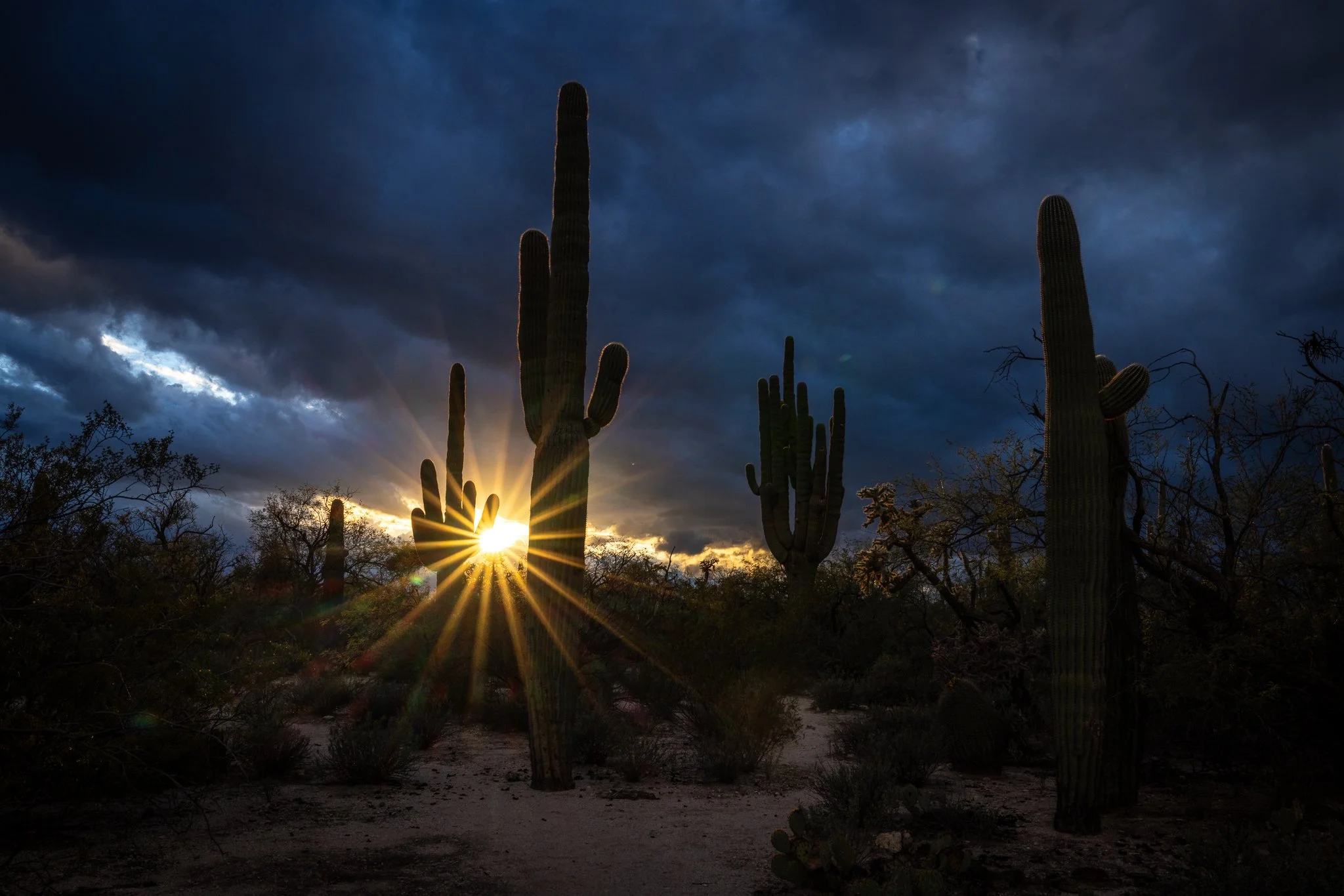 Last light before the storm.
#azwx #arizonasunset