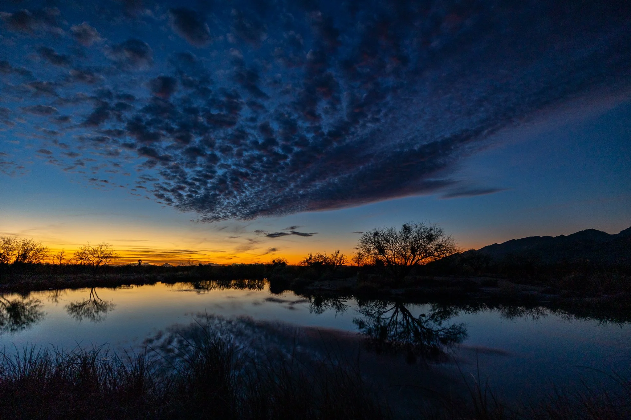 Arizona's turning blue. 💙
#arizonasunset