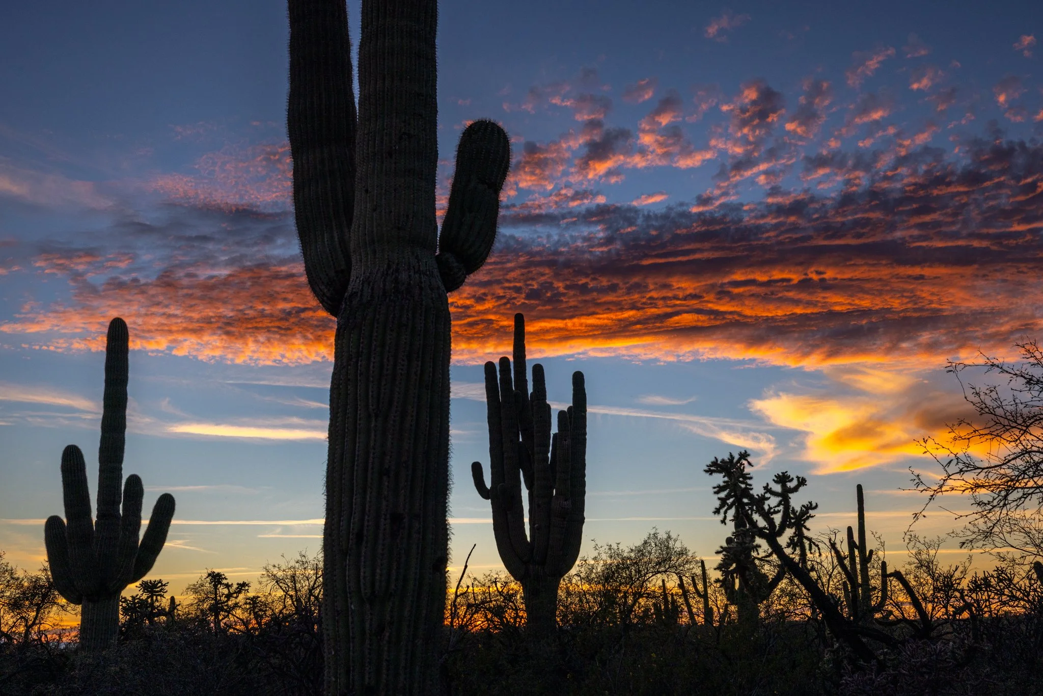 Enjoy the last light of the weekend. #arizonasunset #saguarosunset