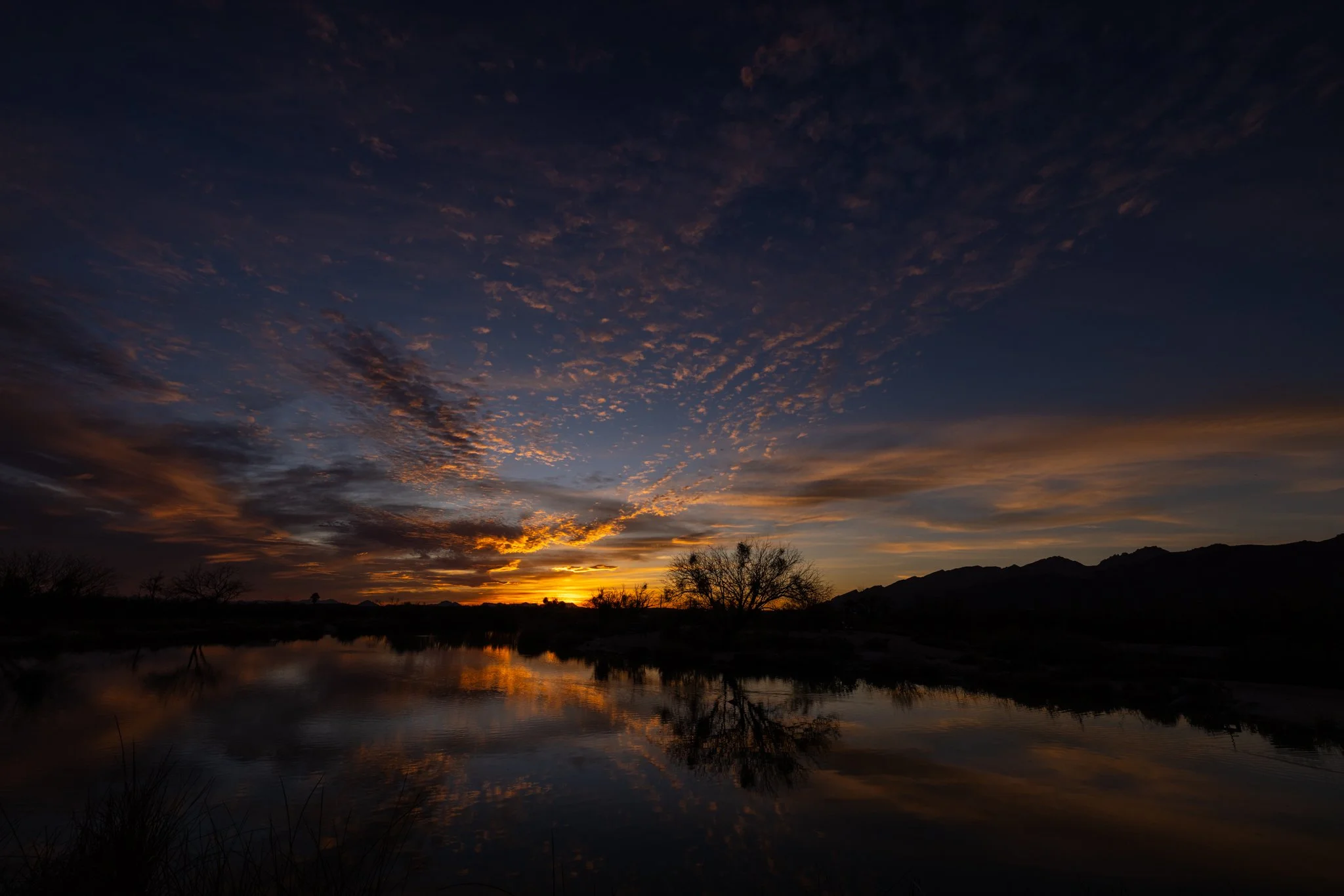 A fitting AZ send off to a week of family in town. #arizonasunset