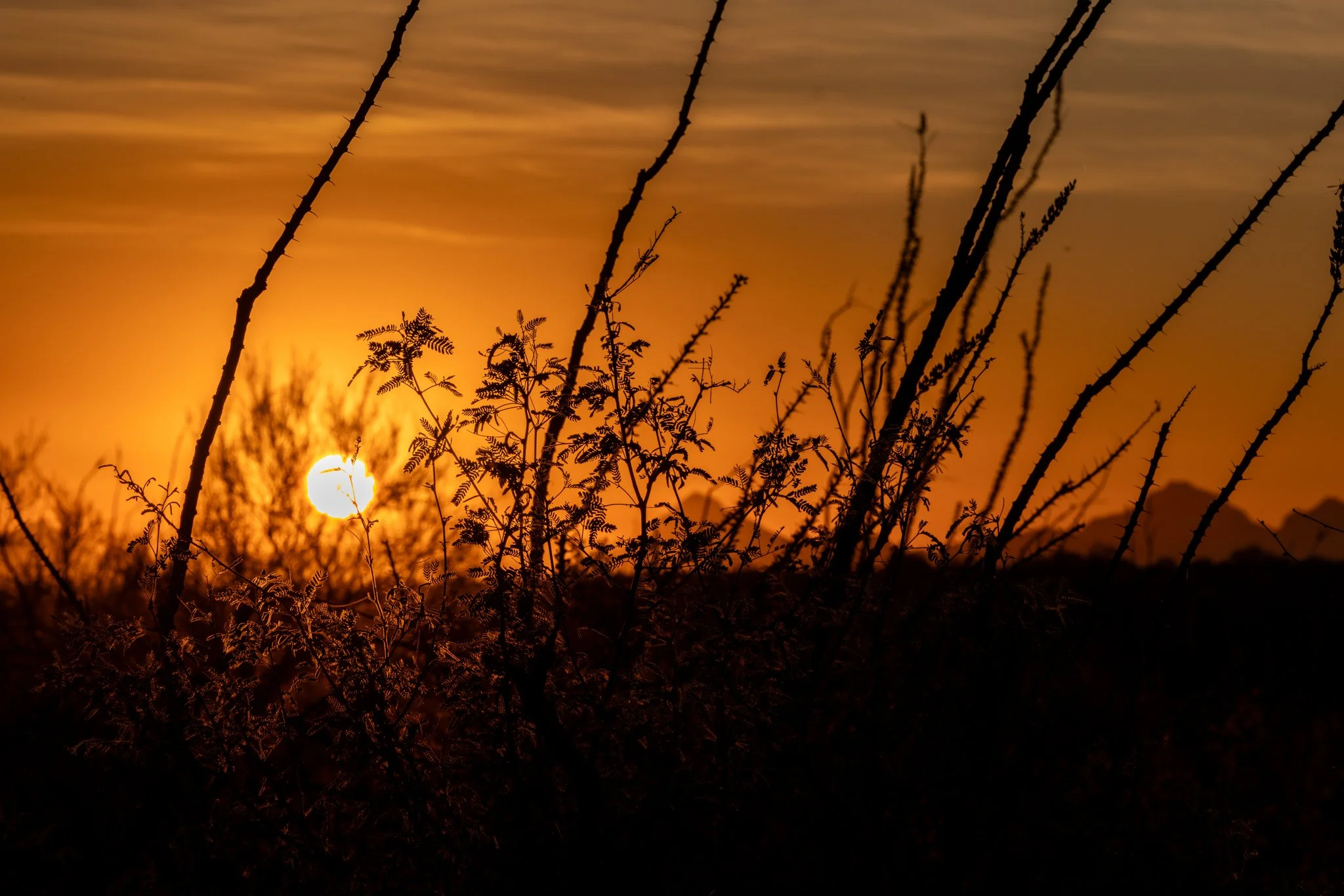G'night.
#arizonasunset