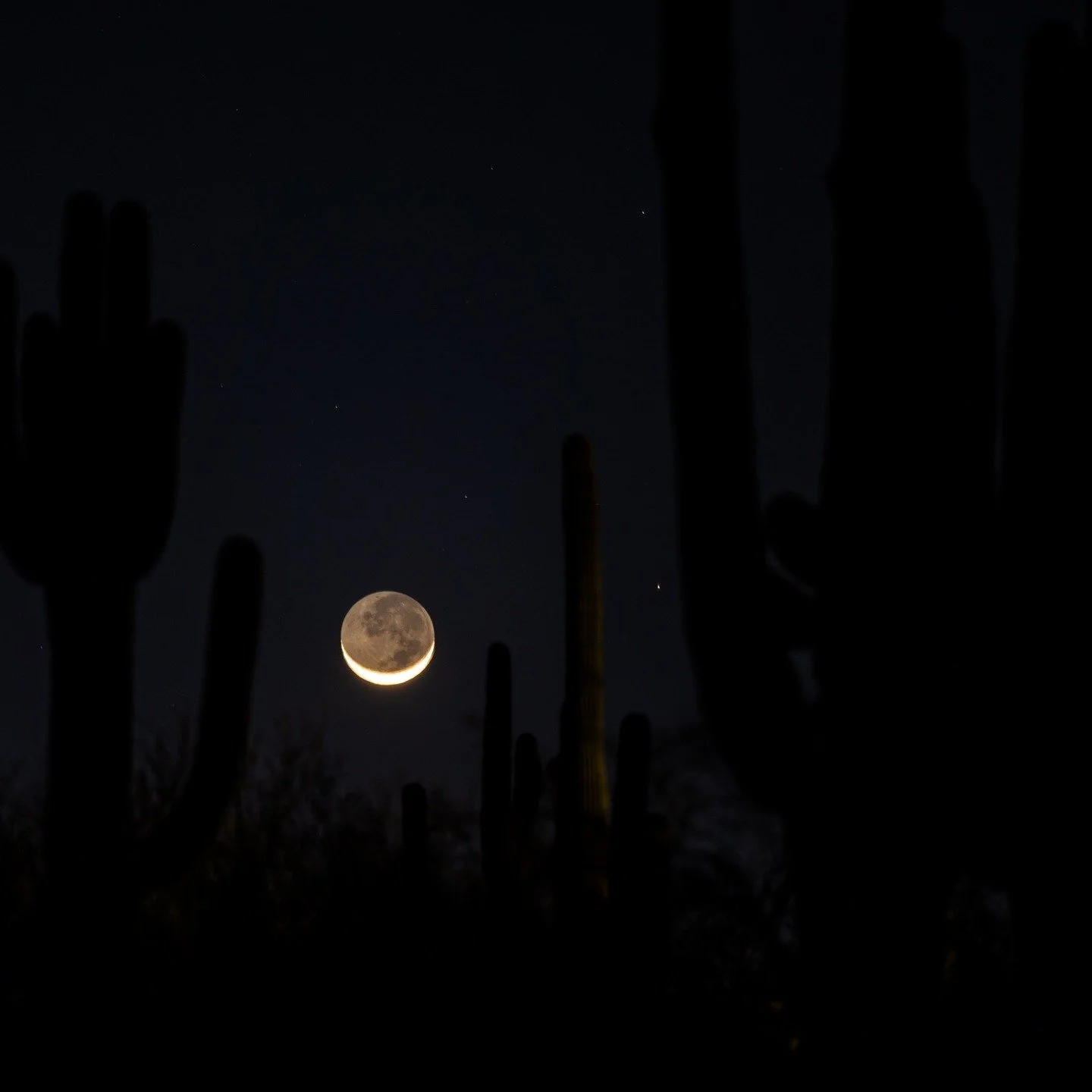Happy Spring Equinox from the Arizona desert.