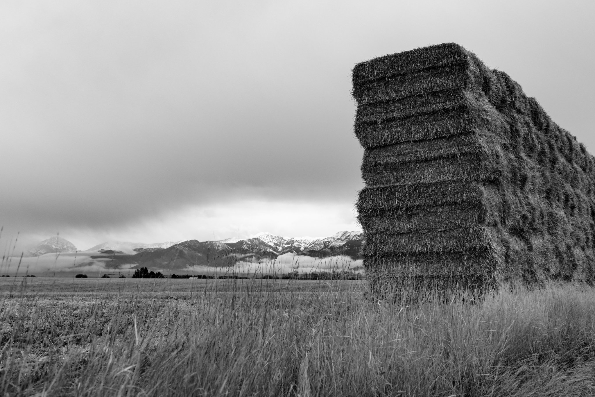 I had about an hour to get some photos of Bozeman this morning. 
#bozeman #springinmontana