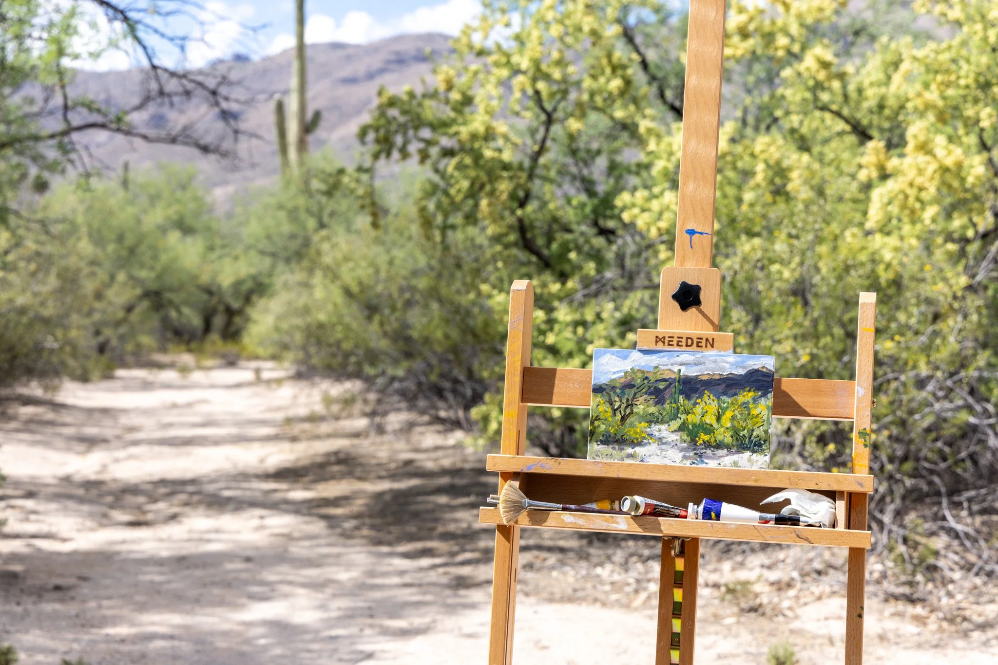 Plein Air #1 The Backyard.
It was scary but I did my first plein air painting of the backyard.
I love the bright yellow blooms of catcall acacia and wanted to catch them before they were gone.

#PleinAir #SonoranDesert