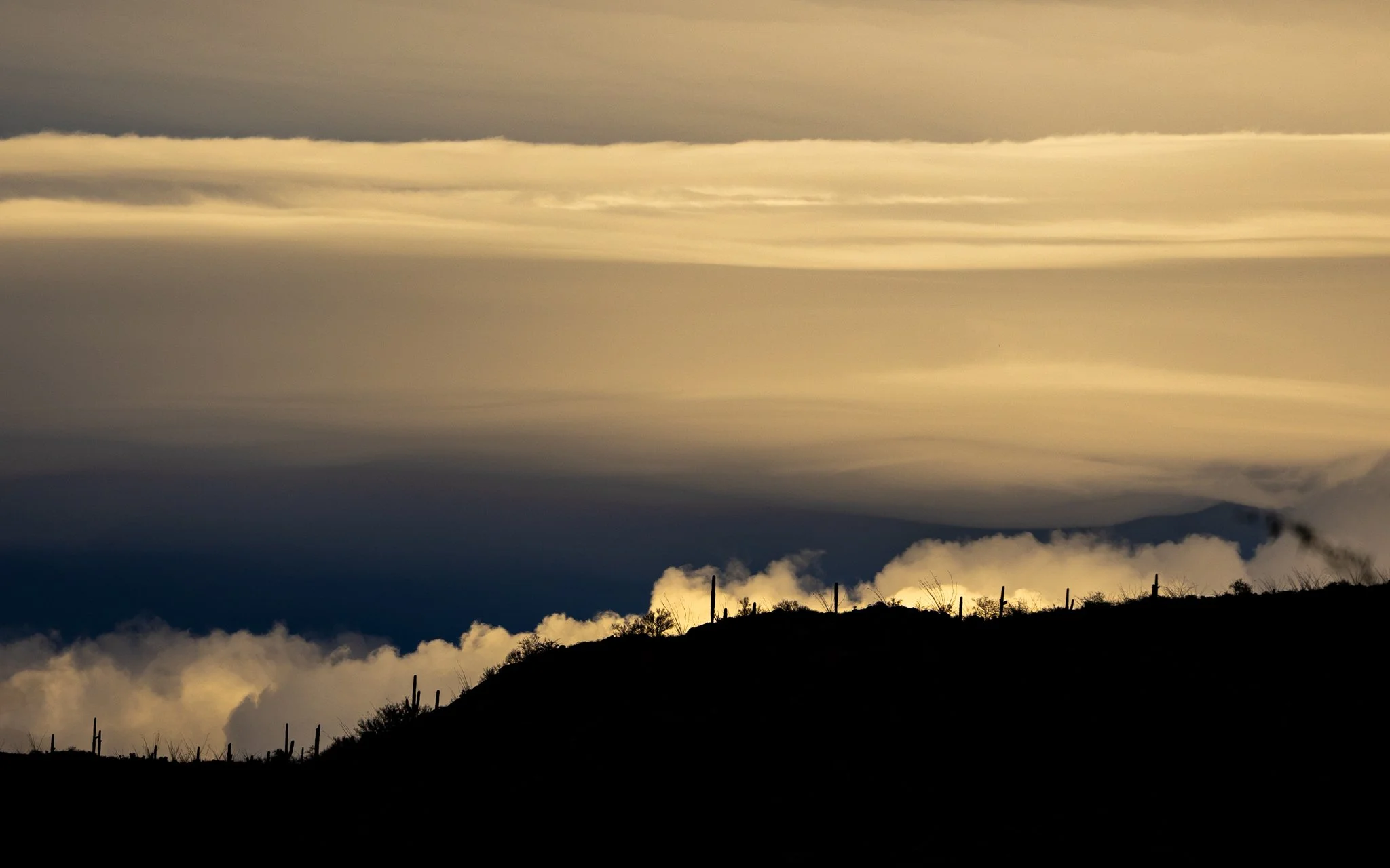 Taking a break to appreciate the beauty at the end of the day.