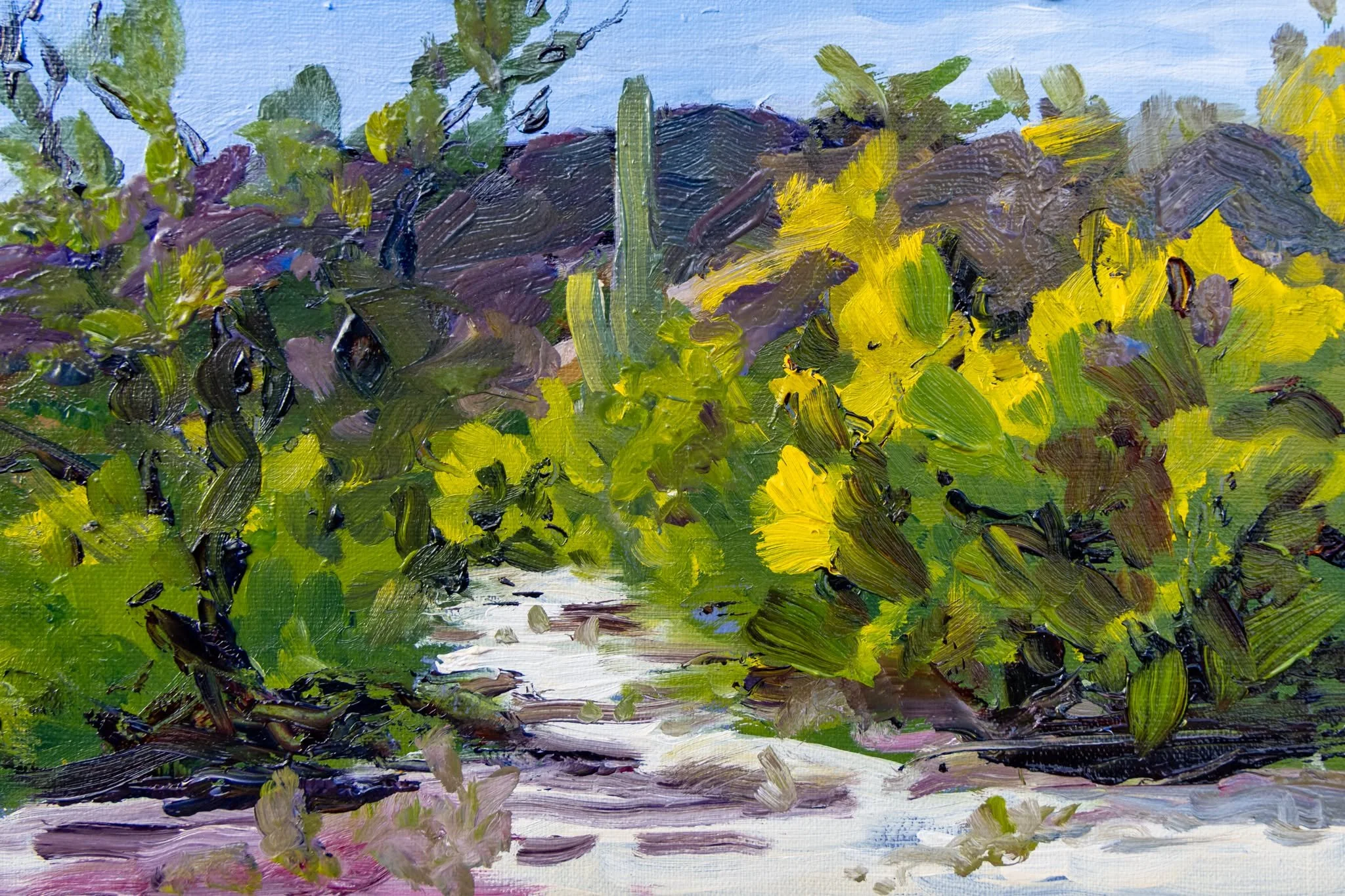 The Backyard again. Simplify! Not great so I tried to improve it this afternoon but it didn't go well. Lesson learned!

Also note the new easel! Check out @artstudioinnovations It's lightweight, perfect for an upcoming camping trip.

#PleinAir #Sonor