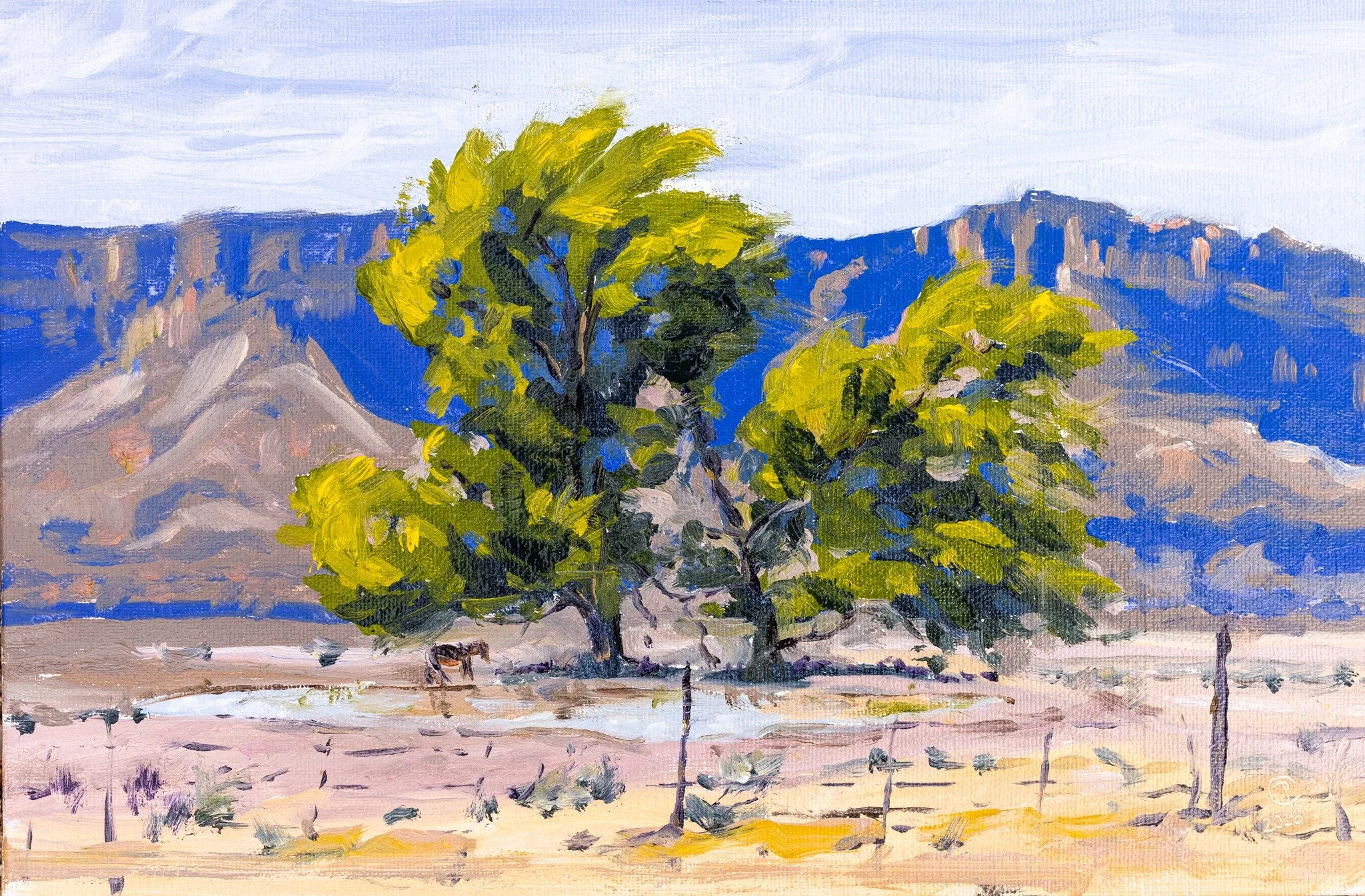 "Navajo Springtime"

Back at the easel 6" x 9"