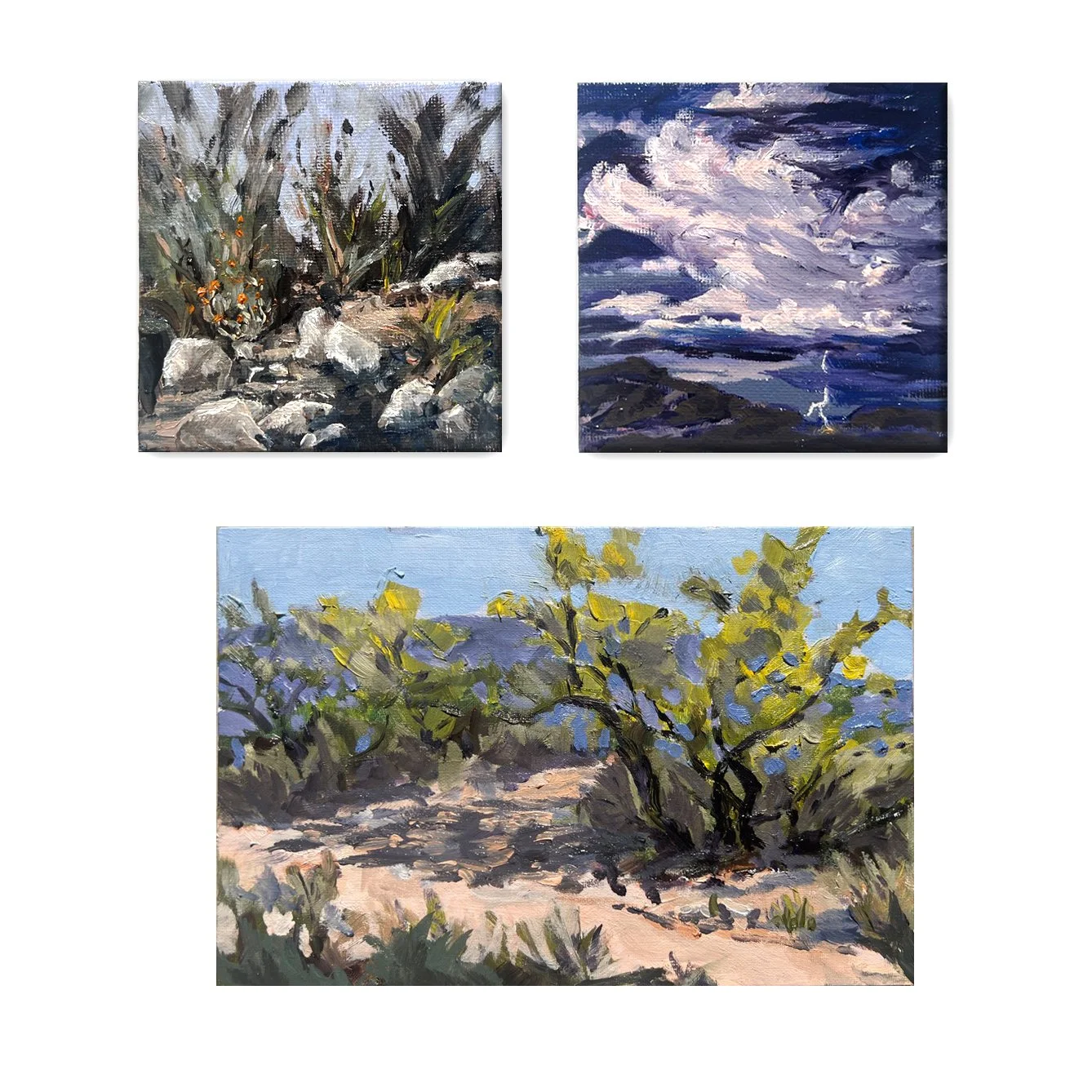 The struggle continues!
#pleinair 

Two are plein air and the storm is from a photo.
