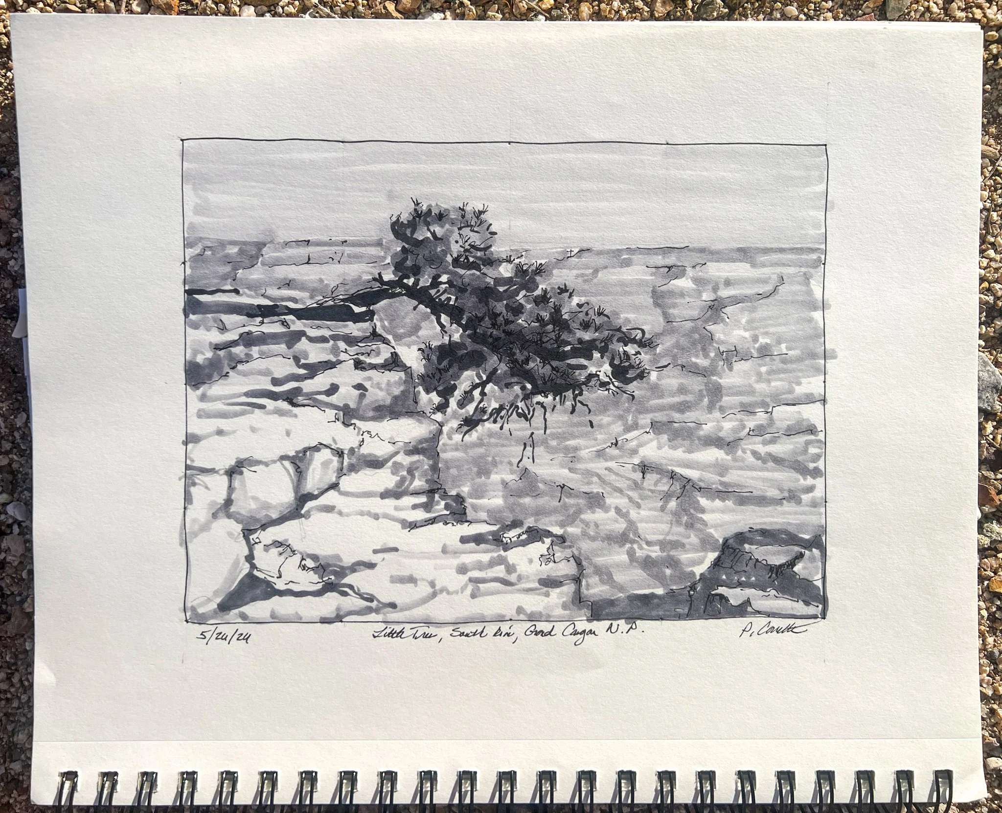 Back to drawing practice of a favorite little tree. As much as I try to simplify, that little black Sharpie ends up in my hand.
#sketchbook #sketch #drawingtutorial #blickmarkers