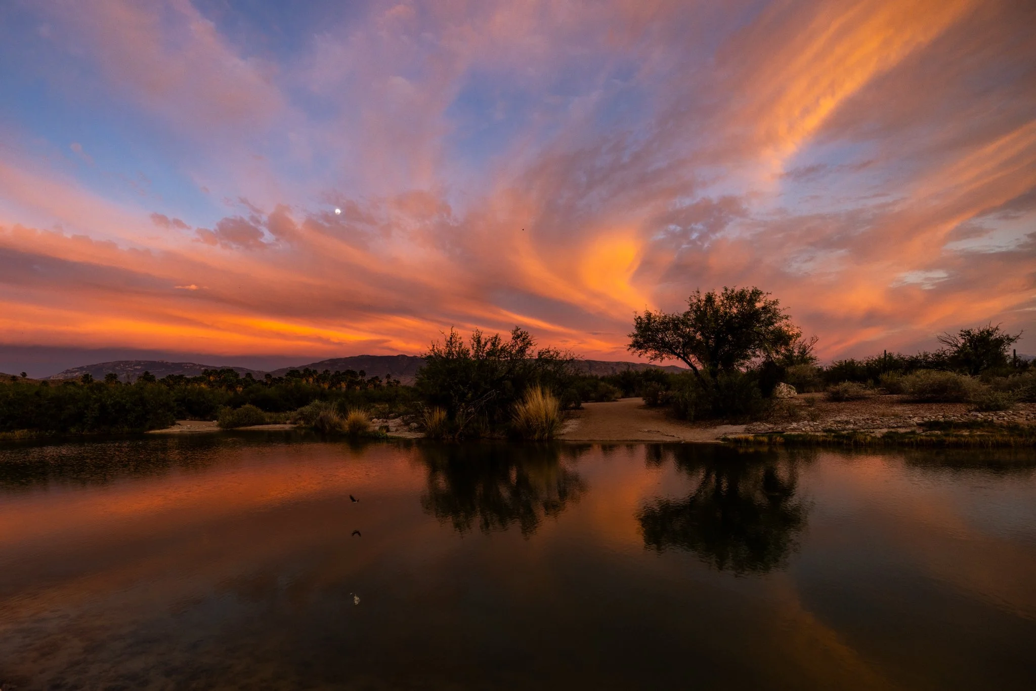 G'night.
#arizonasunset