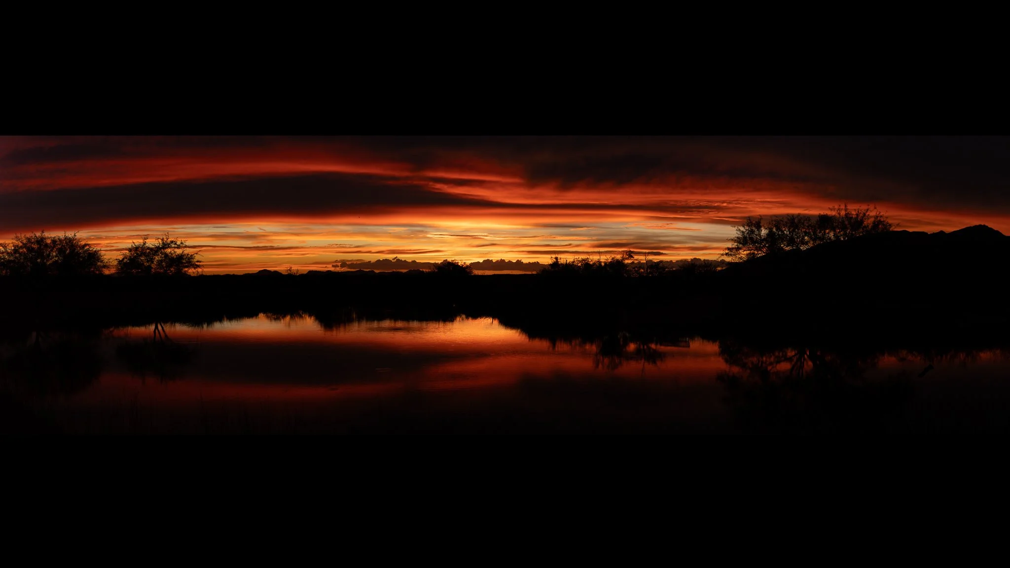 The sky was on fire tonight! #arizonasunset