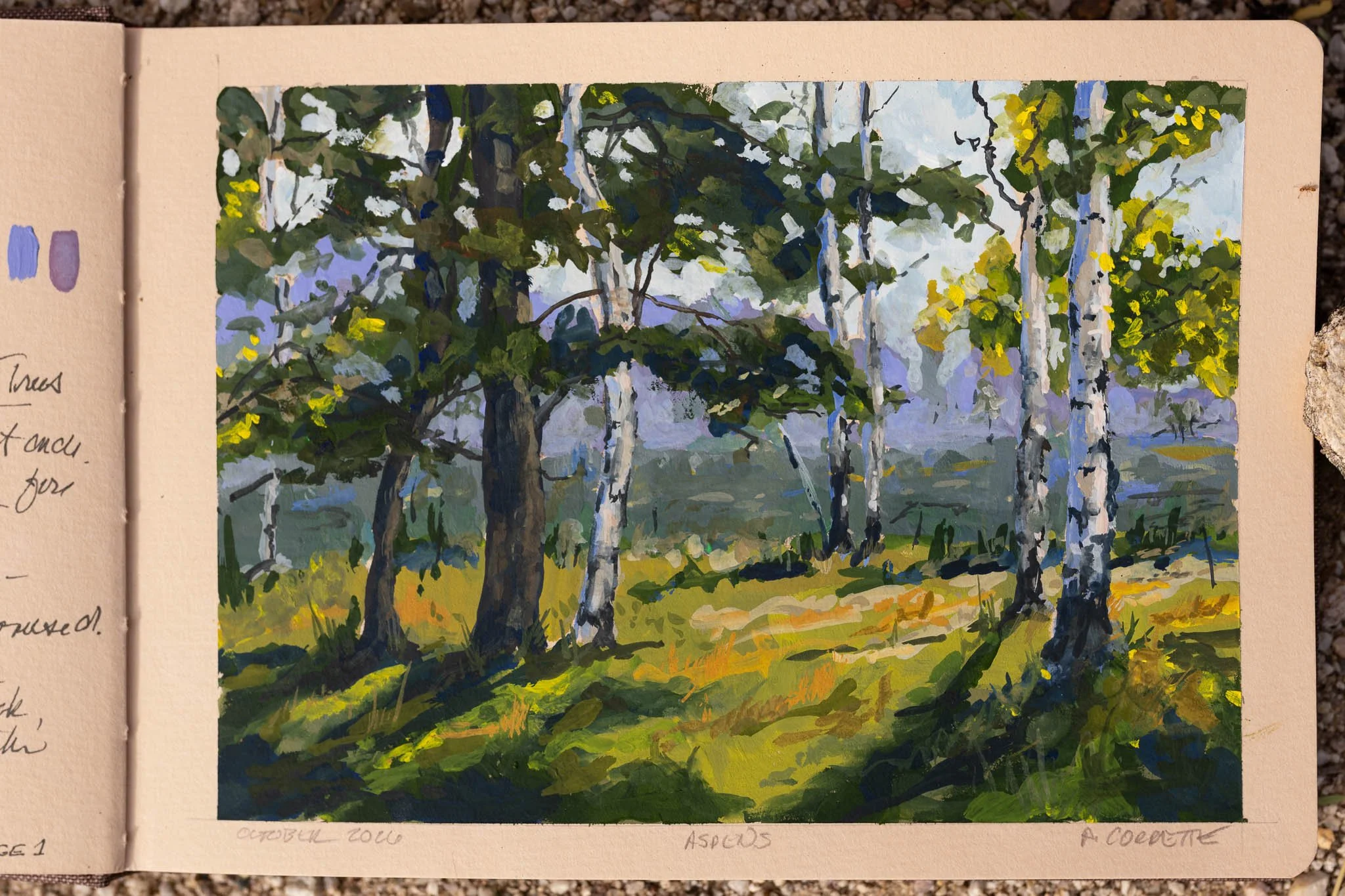Fall seems like a good time to get back to painting class and Aspen Trees are a perfect first lesson. This time I'm trying gouache, opaque watercolor. 
Thank you @lindaglovergooch for your excellent online classes! #Gouache #gouachepainting #Landscap