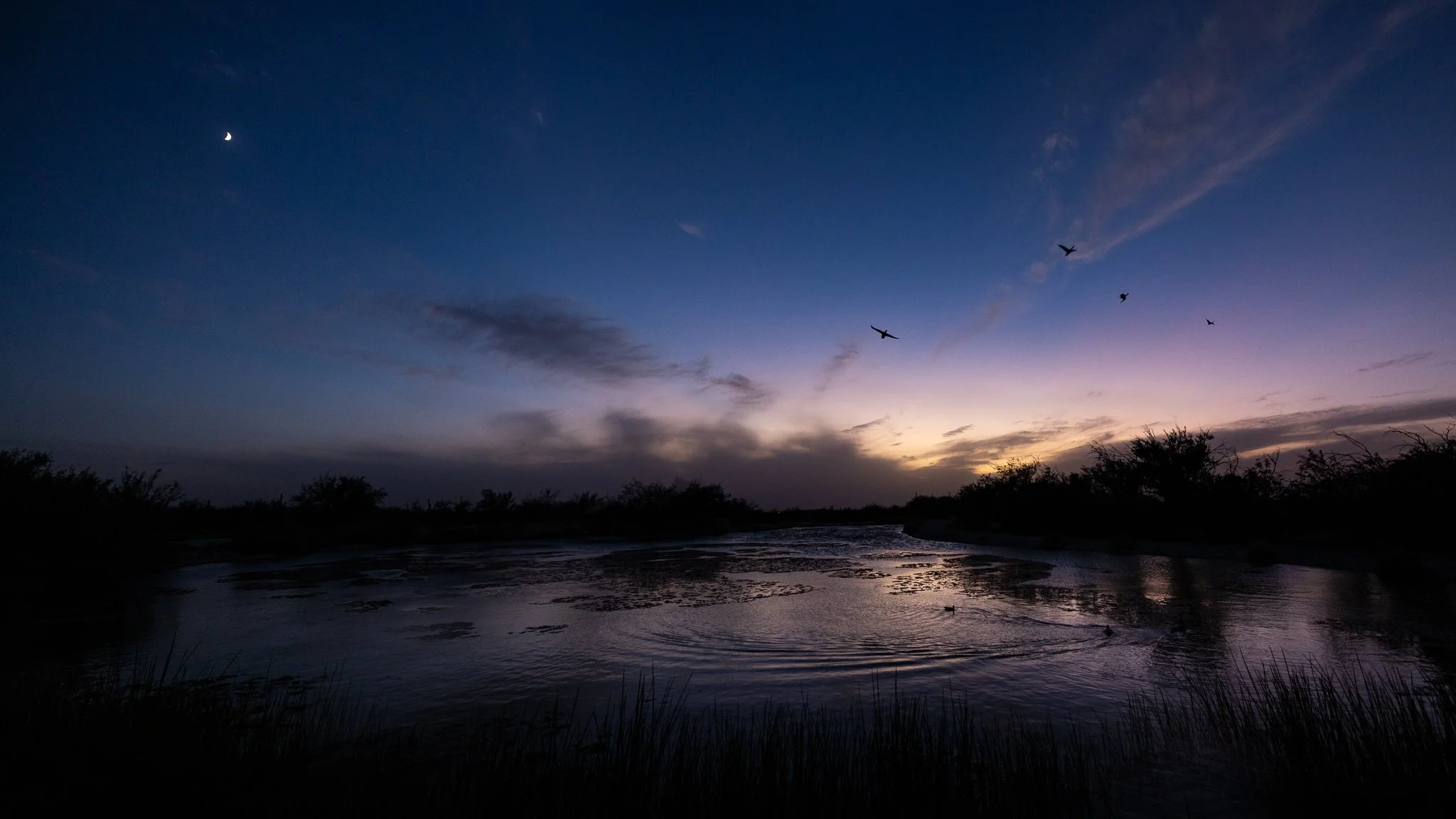 It may look peaceful but the wind was gusting to 45 and I was blinking the grit out of my eyes. In the distance are remnants of dust storms as ducks winged their way to some quiet spot for the night.