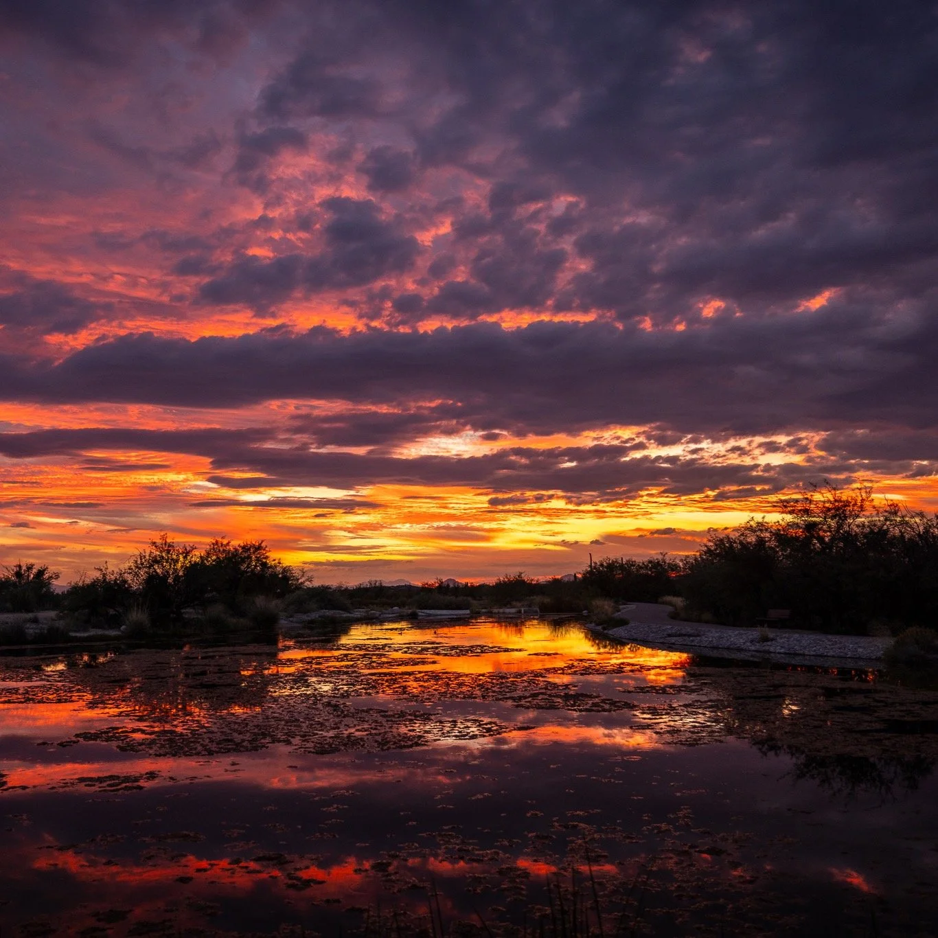 Thinking of everyone in the paths of the storms in AZ. Stay safe!
#azwx #azsunset