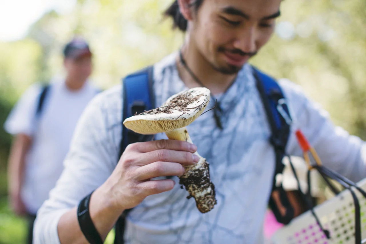 10_MushroomForaging_forageSF040614_AndriaLo.jpg