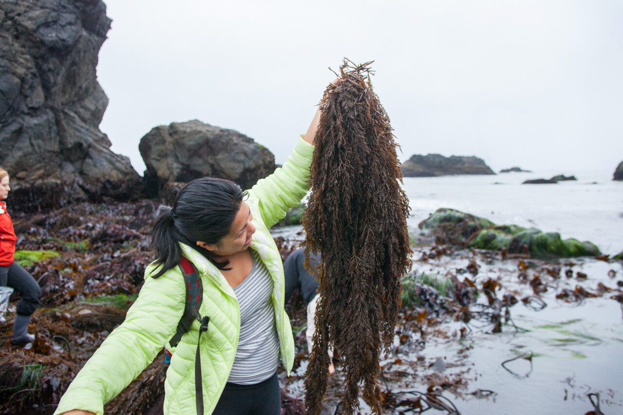 Woman with seaweed